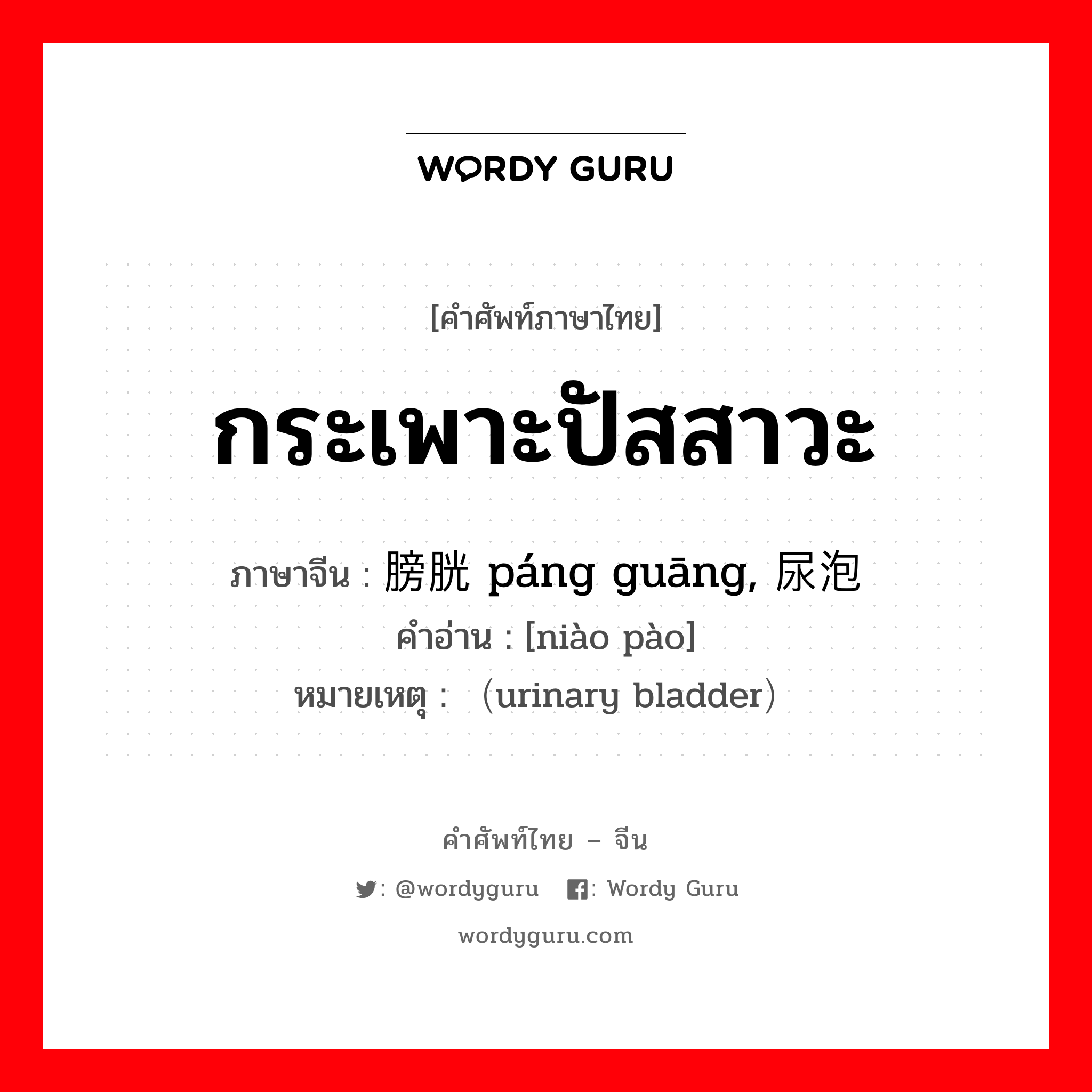 กระเพาะปัสสาวะ ภาษาจีนคืออะไร, คำศัพท์ภาษาไทย - จีน กระเพาะปัสสาวะ ภาษาจีน 膀胱 páng guāng, 尿泡 คำอ่าน [niào pào] หมายเหตุ （urinary bladder）