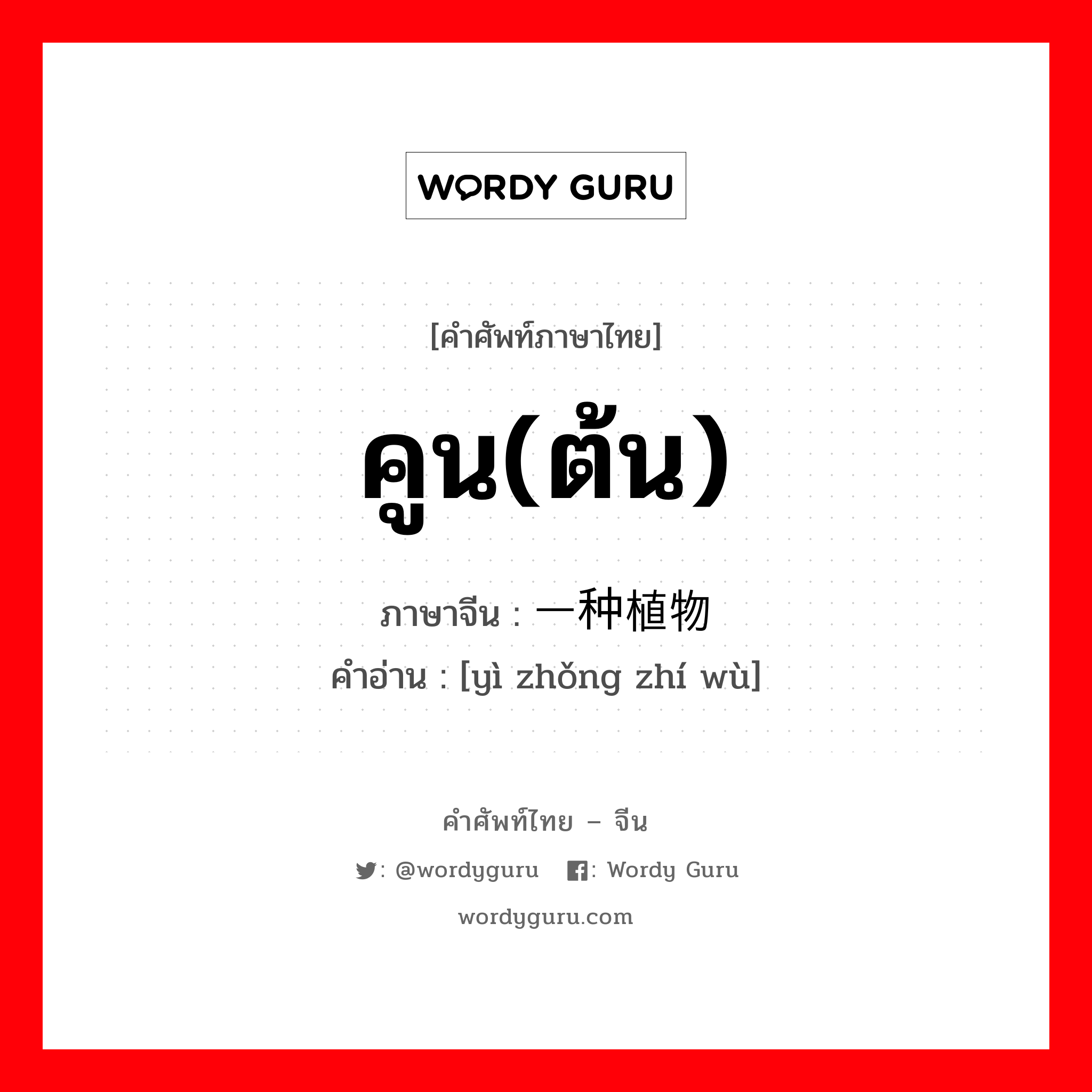 คูน(ต้น) ภาษาจีนคืออะไร, คำศัพท์ภาษาไทย - จีน คูน(ต้น) ภาษาจีน 一种植物 คำอ่าน [yì zhǒng zhí wù]