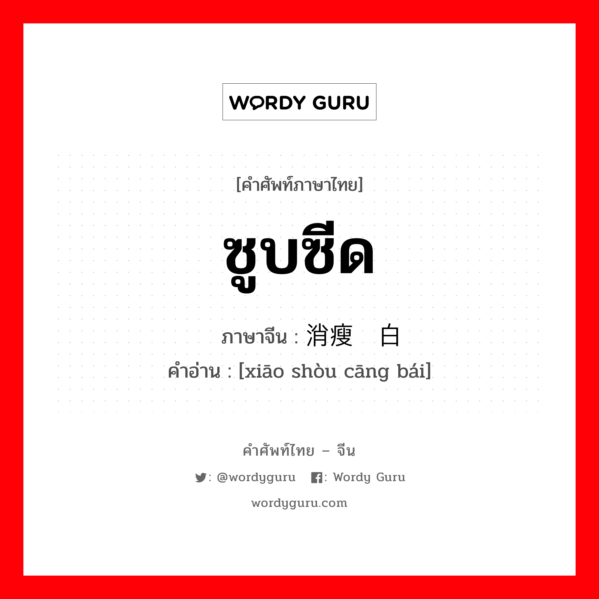 ซูบซีด ภาษาจีนคืออะไร, คำศัพท์ภาษาไทย - จีน ซูบซีด ภาษาจีน 消瘦苍白 คำอ่าน [xiāo shòu cāng bái]