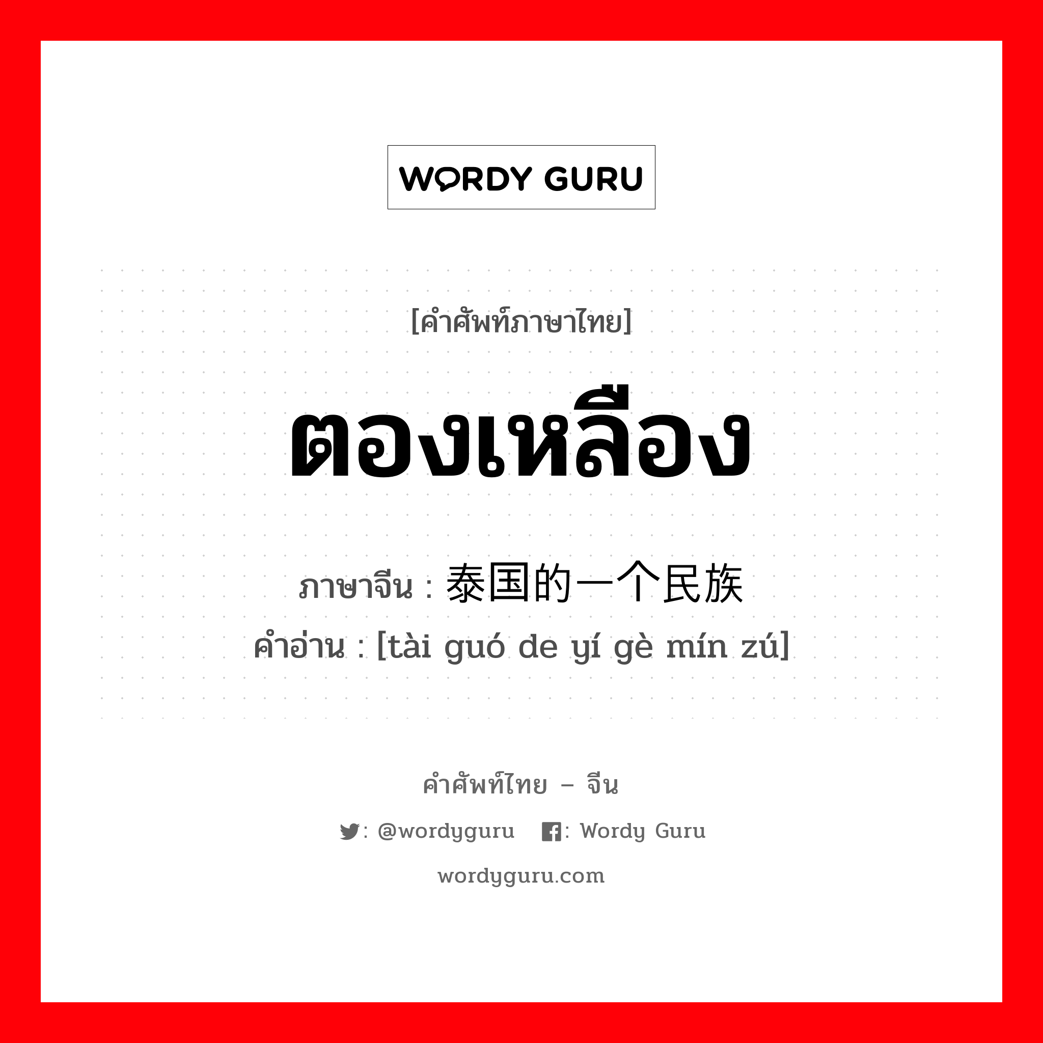 ตองเหลือง ภาษาจีนคืออะไร, คำศัพท์ภาษาไทย - จีน ตองเหลือง ภาษาจีน 泰国的一个民族 คำอ่าน [tài guó de yí gè mín zú]
