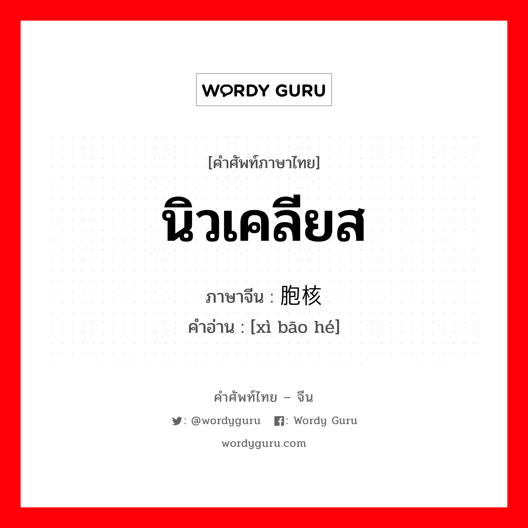 นิวเคลียส ภาษาจีนคืออะไร, คำศัพท์ภาษาไทย - จีน นิวเคลียส ภาษาจีน 细胞核 คำอ่าน [xì bāo hé]