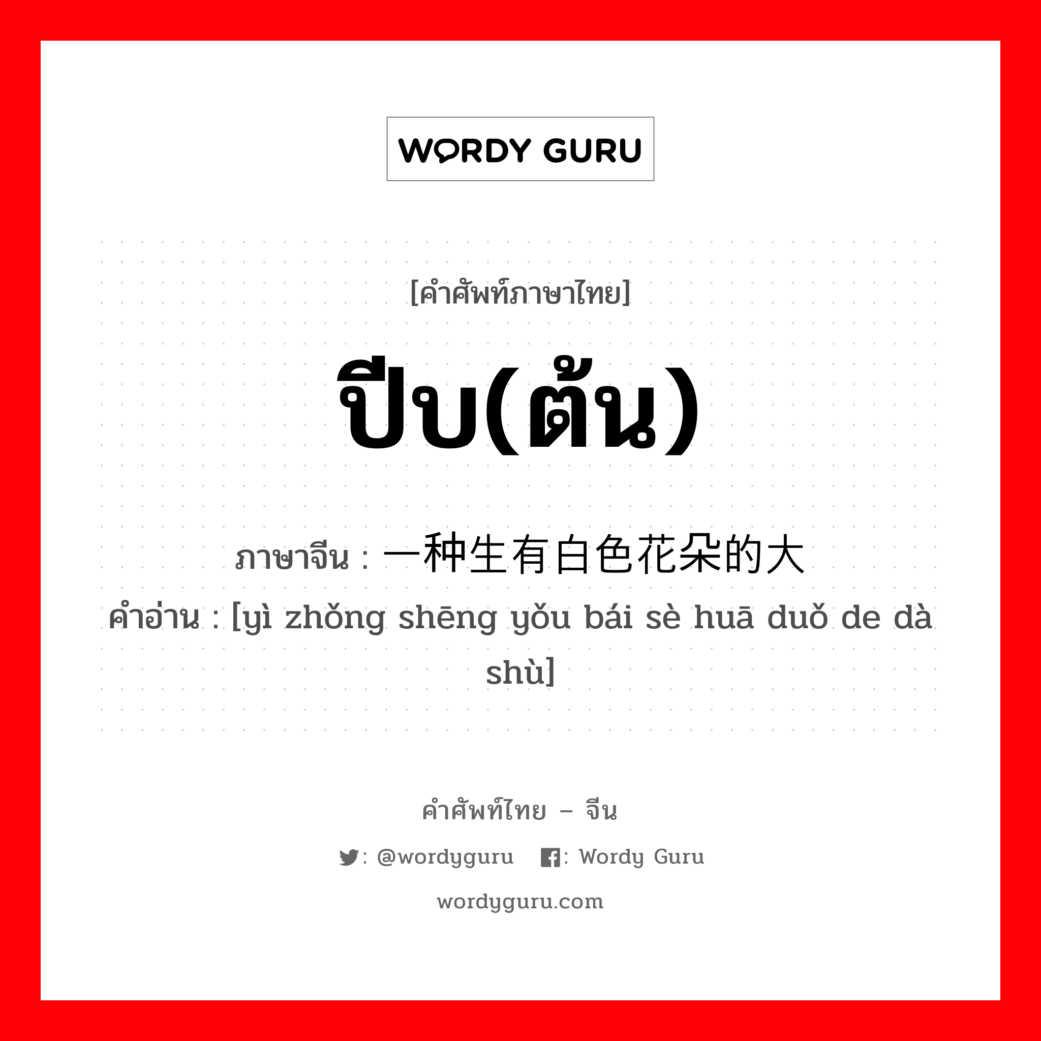 ปีบ(ต้น) ภาษาจีนคืออะไร, คำศัพท์ภาษาไทย - จีน ปีบ(ต้น) ภาษาจีน 一种生有白色花朵的大树 คำอ่าน [yì zhǒng shēng yǒu bái sè huā duǒ de dà shù]