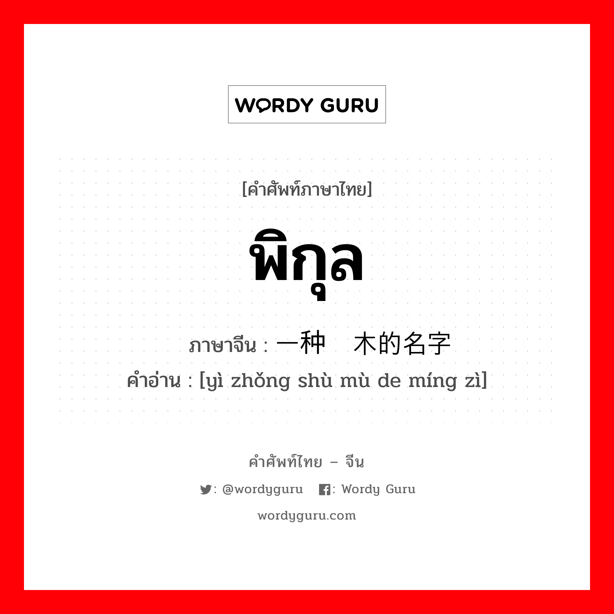 พิกุล ภาษาจีนคืออะไร, คำศัพท์ภาษาไทย - จีน พิกุล ภาษาจีน 一种树木的名字 คำอ่าน [yì zhǒng shù mù de míng zì]