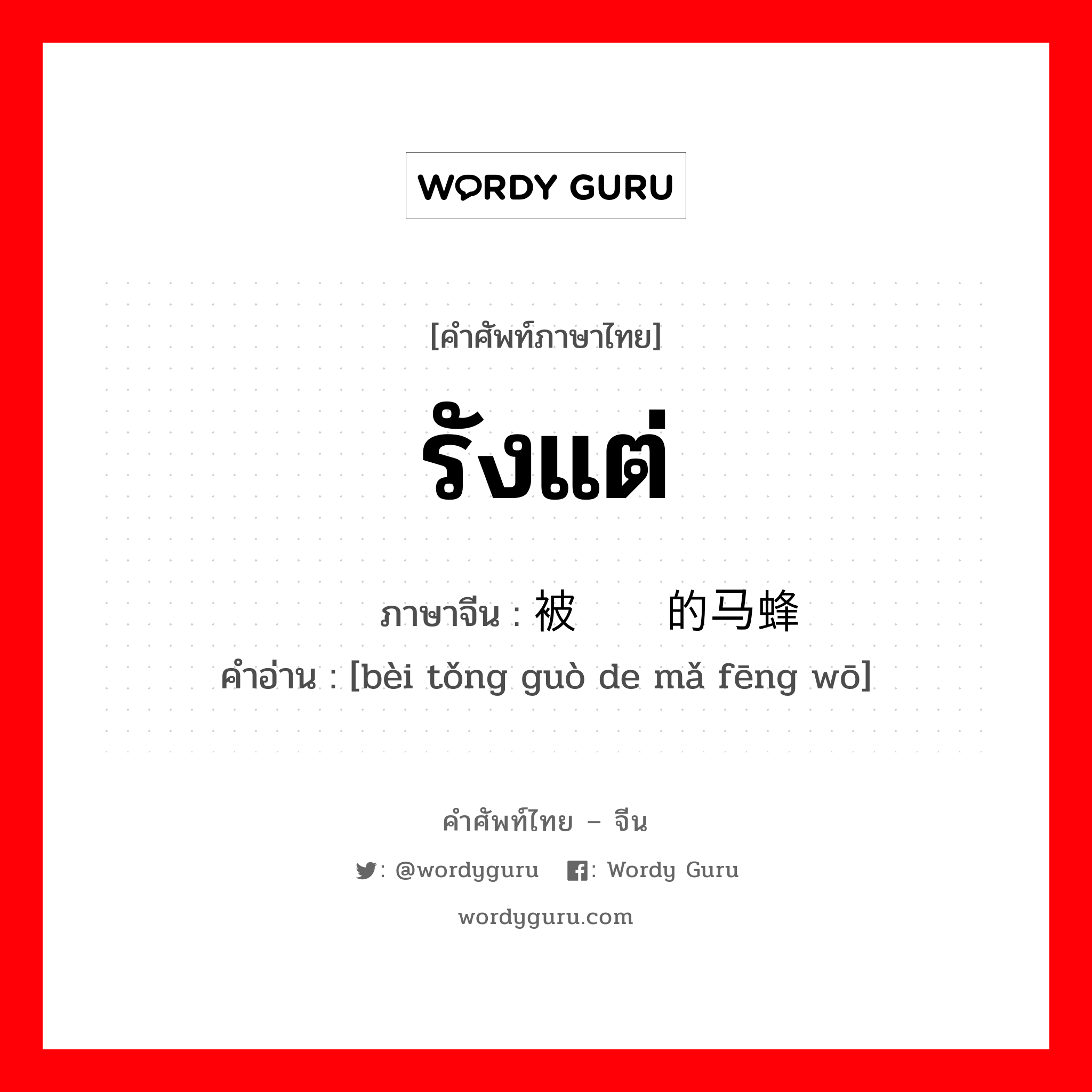 รังแต่ ภาษาจีนคืออะไร, คำศัพท์ภาษาไทย - จีน รังแต่ ภาษาจีน 被捅过的马蜂窝 คำอ่าน [bèi tǒng guò de mǎ fēng wō]