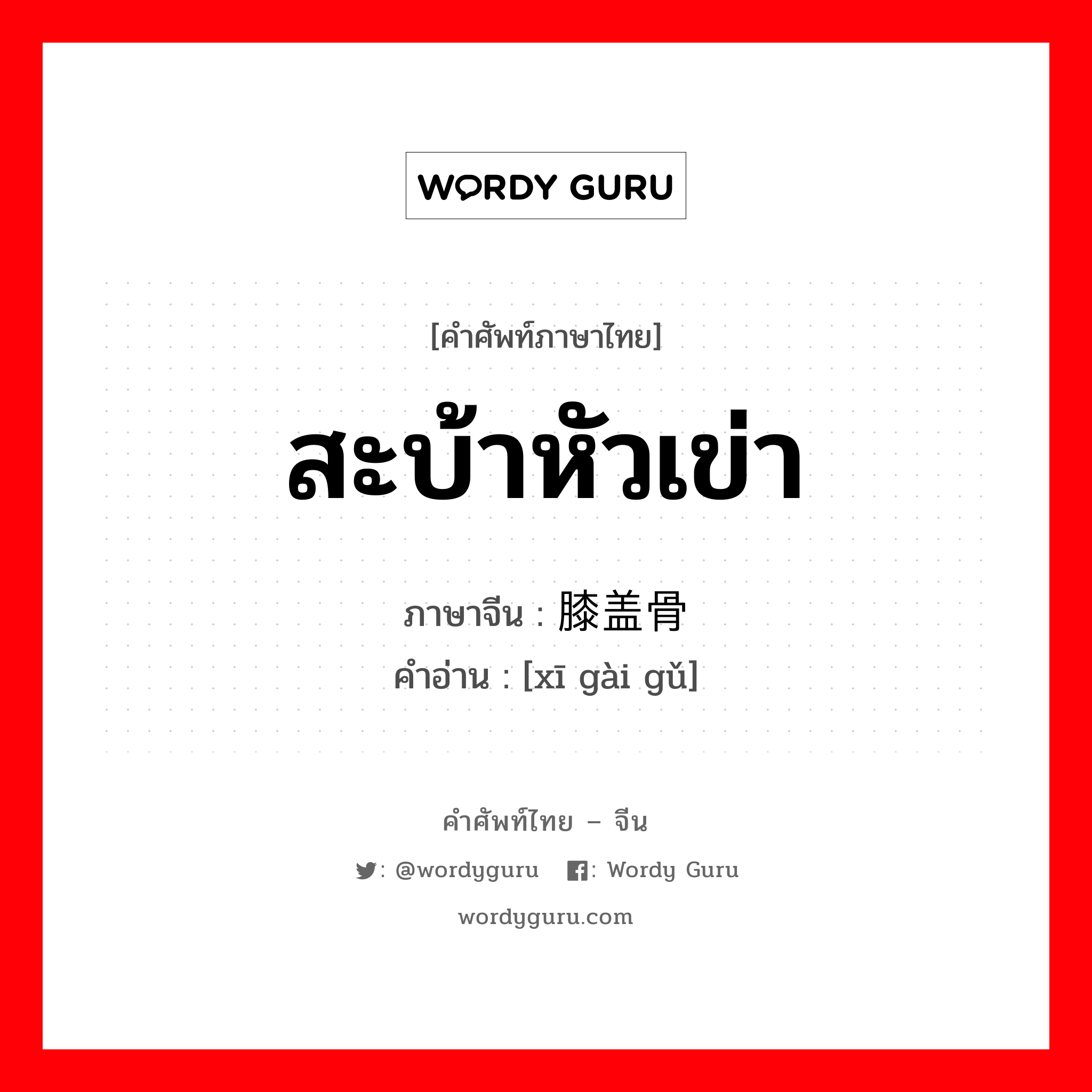 สะบ้าหัวเข่า ภาษาจีนคืออะไร, คำศัพท์ภาษาไทย - จีน สะบ้าหัวเข่า ภาษาจีน 膝盖骨 คำอ่าน [xī gài gǔ]