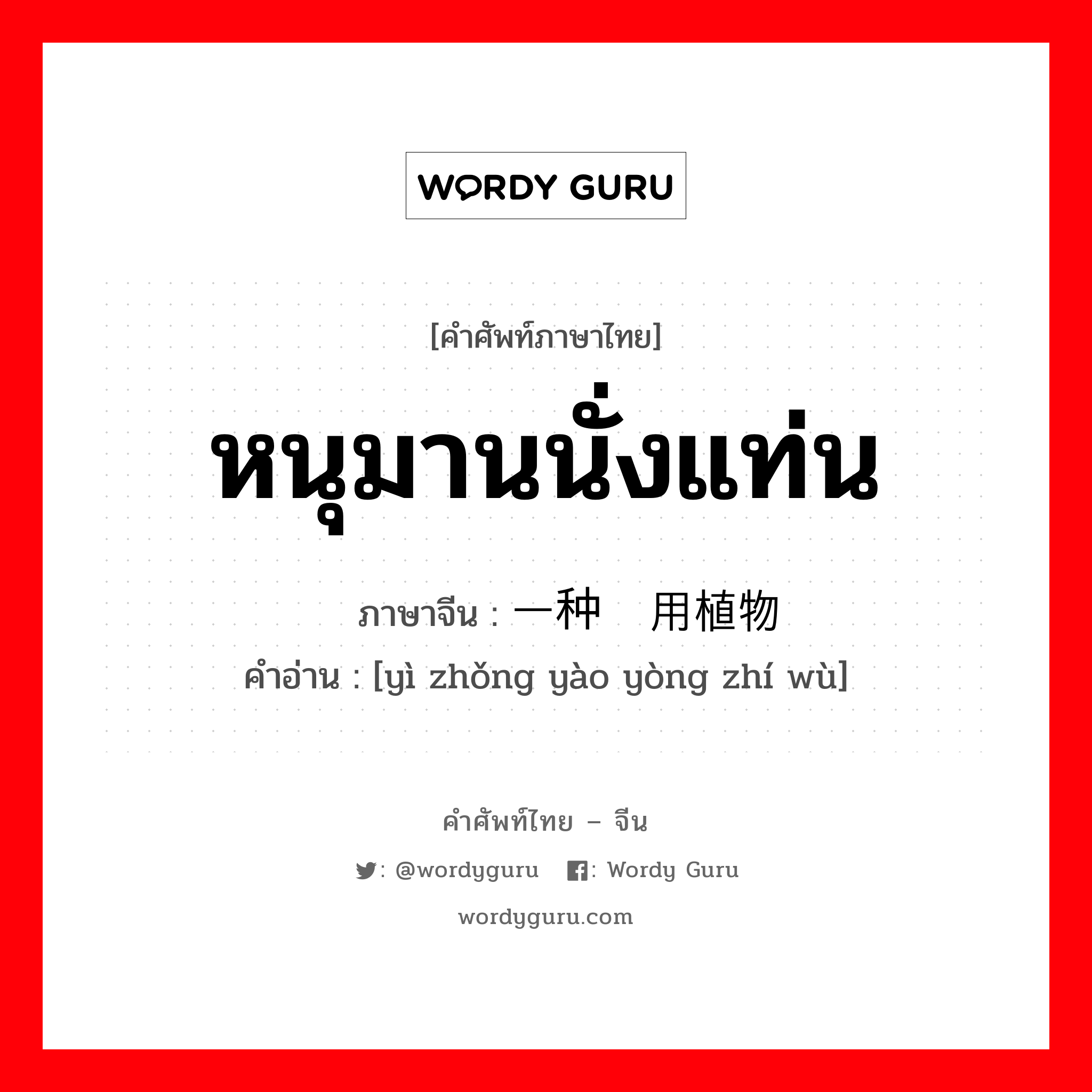 หนุมานนั่งแท่น ภาษาจีนคืออะไร, คำศัพท์ภาษาไทย - จีน หนุมานนั่งแท่น ภาษาจีน 一种药用植物 คำอ่าน [yì zhǒng yào yòng zhí wù]