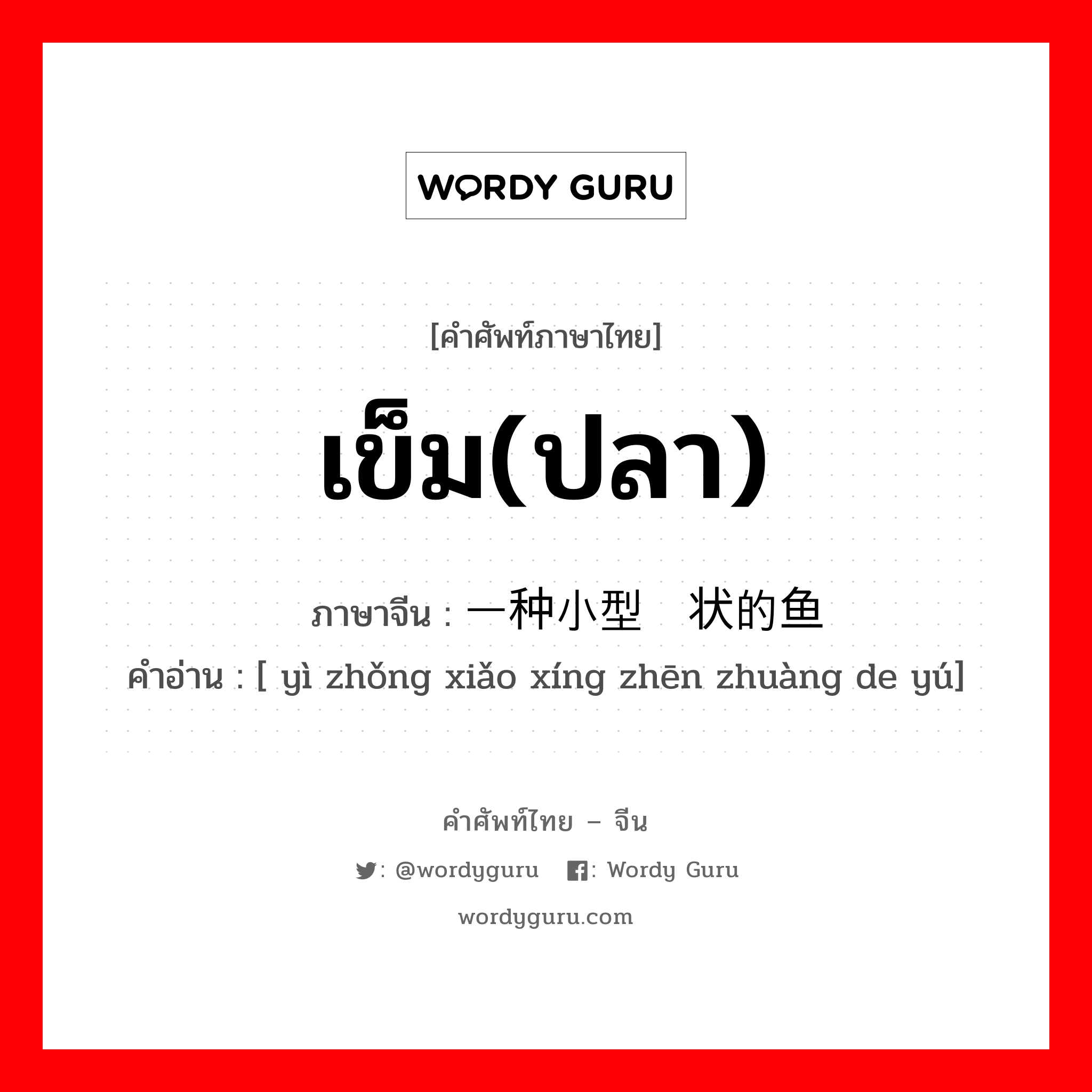 เข็ม(ปลา) ภาษาจีนคืออะไร, คำศัพท์ภาษาไทย - จีน เข็ม(ปลา) ภาษาจีน 一种小型针状的鱼 คำอ่าน [ yì zhǒng xiǎo xíng zhēn zhuàng de yú]