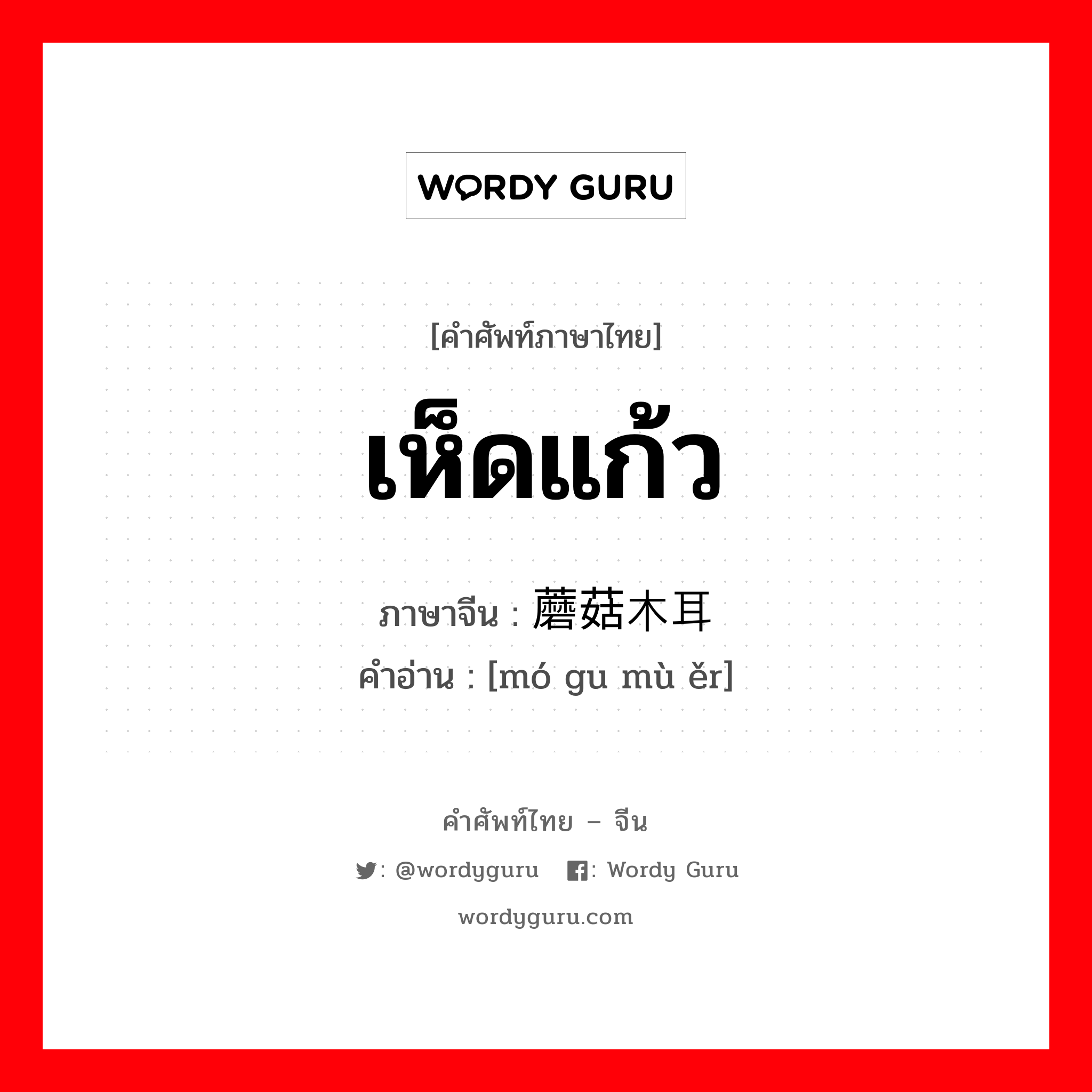 เห็ดแก้ว ภาษาจีนคืออะไร, คำศัพท์ภาษาไทย - จีน เห็ดแก้ว ภาษาจีน 蘑菇木耳 คำอ่าน [mó gu mù ěr]