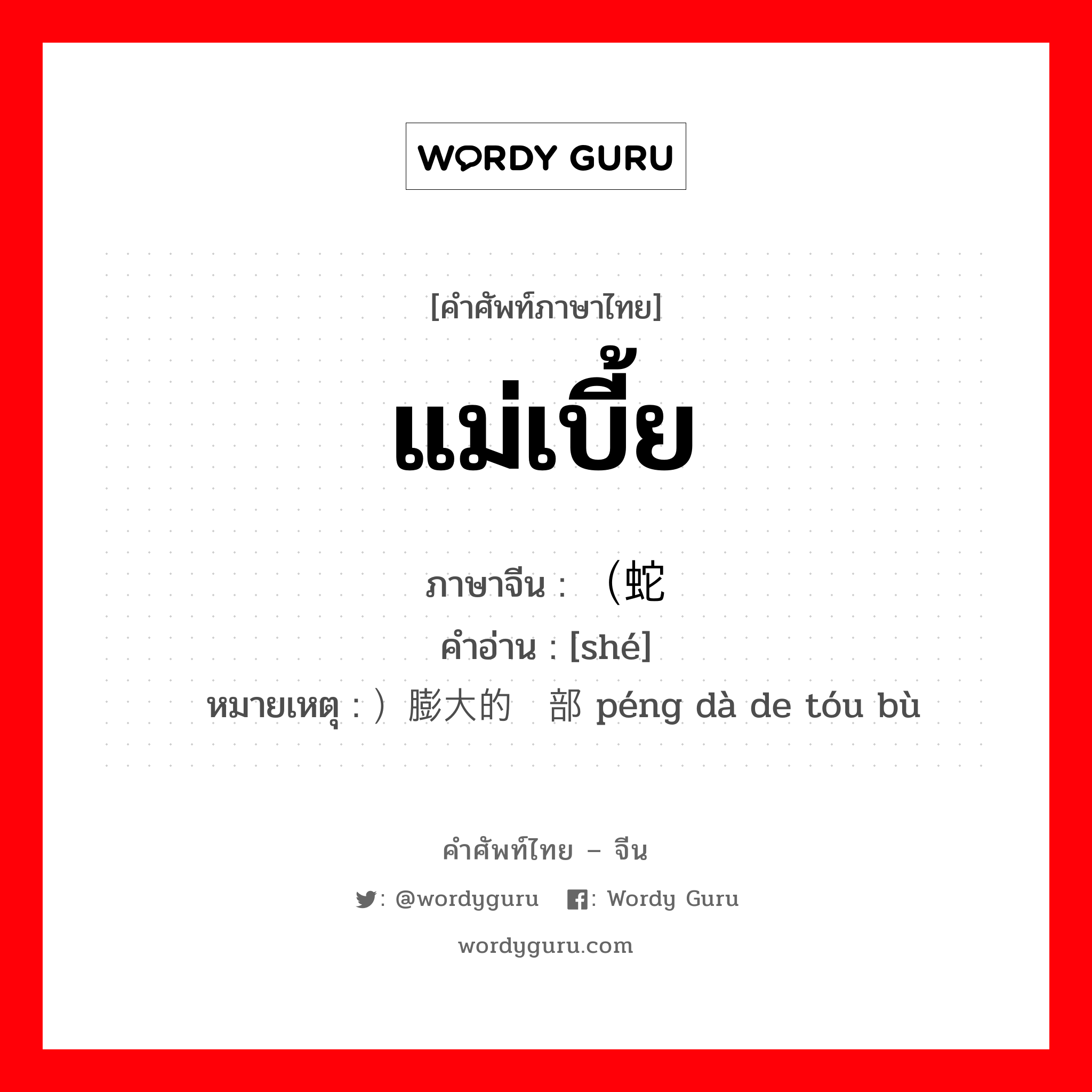 แม่เบี้ย ภาษาจีนคืออะไร, คำศัพท์ภาษาไทย - จีน แม่เบี้ย ภาษาจีน （蛇 คำอ่าน [shé] หมายเหตุ ）膨大的头部 péng dà de tóu bù