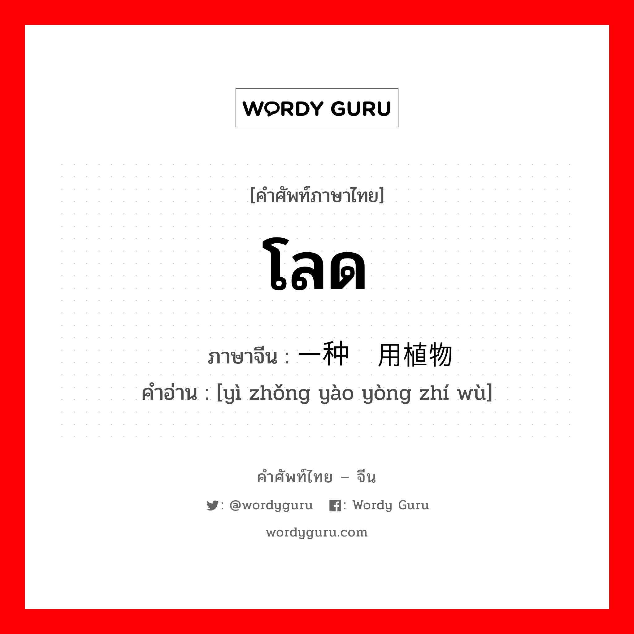 โลด ภาษาจีนคืออะไร, คำศัพท์ภาษาไทย - จีน โลด ภาษาจีน 一种药用植物 คำอ่าน [yì zhǒng yào yòng zhí wù]