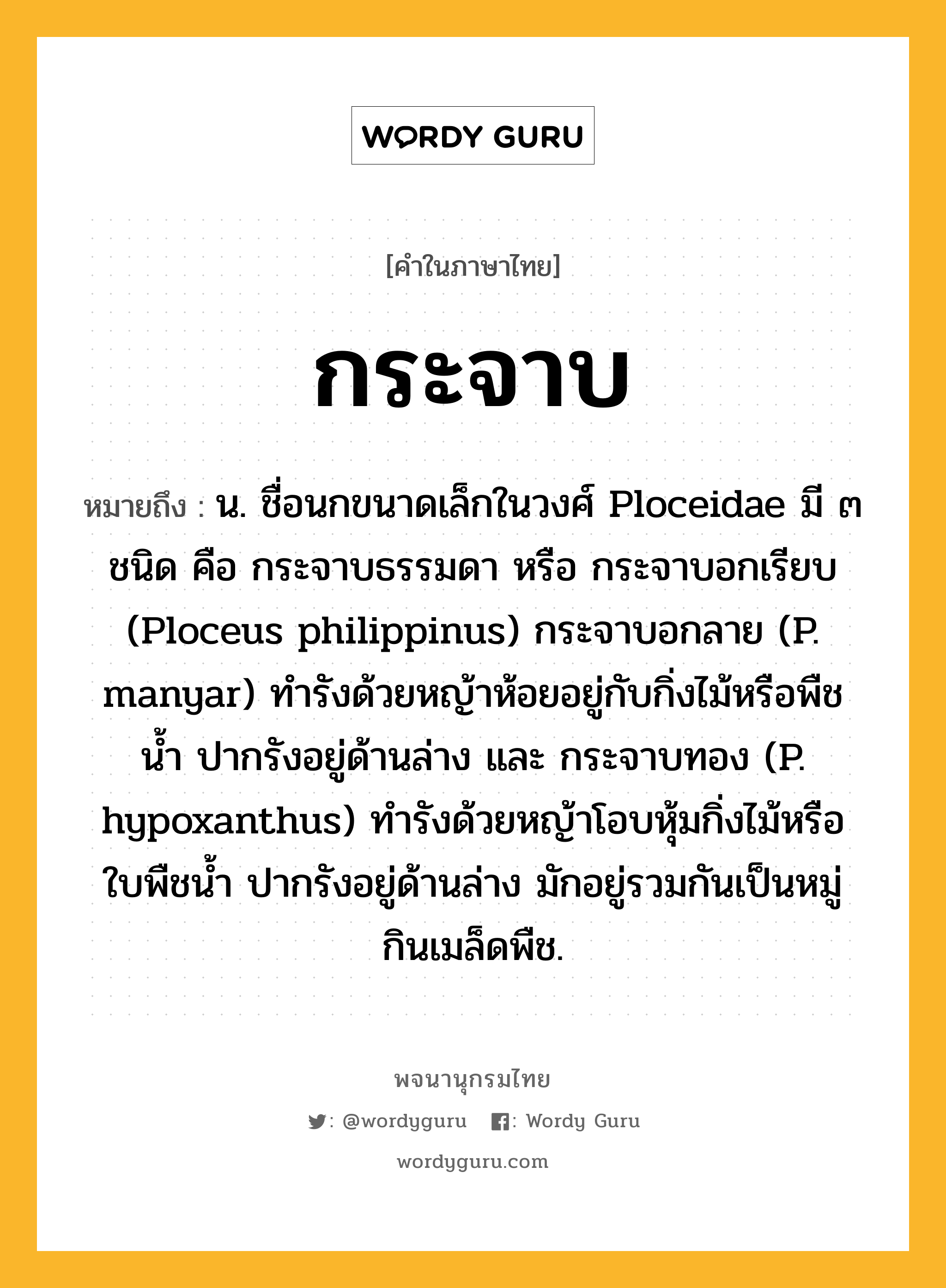 กระจาบ ความหมาย หมายถึงอะไร?, คำในภาษาไทย กระจาบ หมายถึง น. ชื่อนกขนาดเล็กในวงศ์ Ploceidae มี ๓ ชนิด คือ กระจาบธรรมดา หรือ กระจาบอกเรียบ (Ploceus philippinus) กระจาบอกลาย (P. manyar) ทำรังด้วยหญ้าห้อยอยู่กับกิ่งไม้หรือพืชน้ำ ปากรังอยู่ด้านล่าง และ กระจาบทอง (P. hypoxanthus) ทํารังด้วยหญ้าโอบหุ้มกิ่งไม้หรือใบพืชน้ำ ปากรังอยู่ด้านล่าง มักอยู่รวมกันเป็นหมู่ กินเมล็ดพืช.