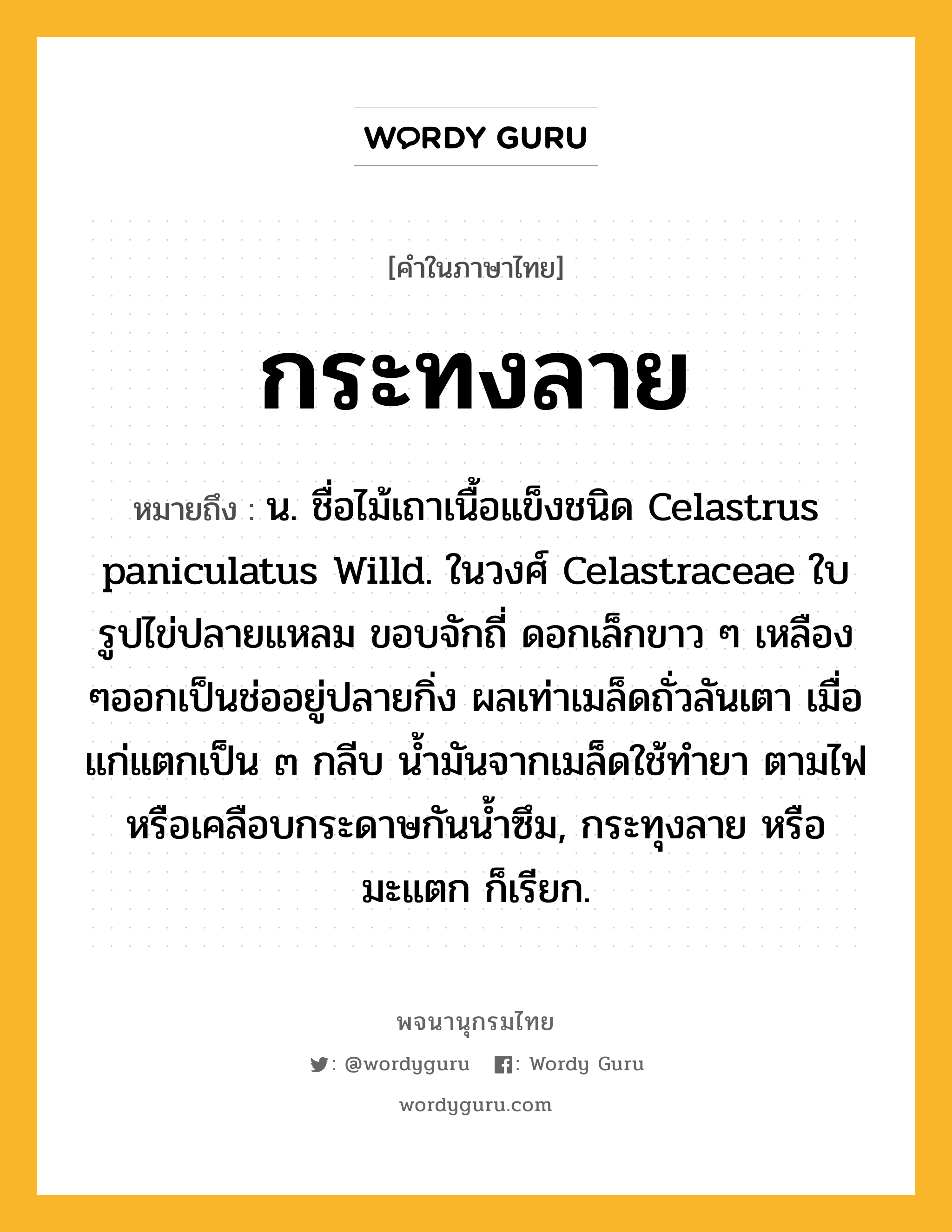 กระทงลาย ความหมาย หมายถึงอะไร?, คำในภาษาไทย กระทงลาย หมายถึง น. ชื่อไม้เถาเนื้อแข็งชนิด Celastrus paniculatus Willd. ในวงศ์ Celastraceae ใบรูปไข่ปลายแหลม ขอบจักถี่ ดอกเล็กขาว ๆ เหลือง ๆออกเป็นช่ออยู่ปลายกิ่ง ผลเท่าเมล็ดถั่วลันเตา เมื่อแก่แตกเป็น ๓ กลีบ นํ้ามันจากเมล็ดใช้ทํายา ตามไฟ หรือเคลือบกระดาษกันนํ้าซึม, กระทุงลาย หรือ มะแตก ก็เรียก.