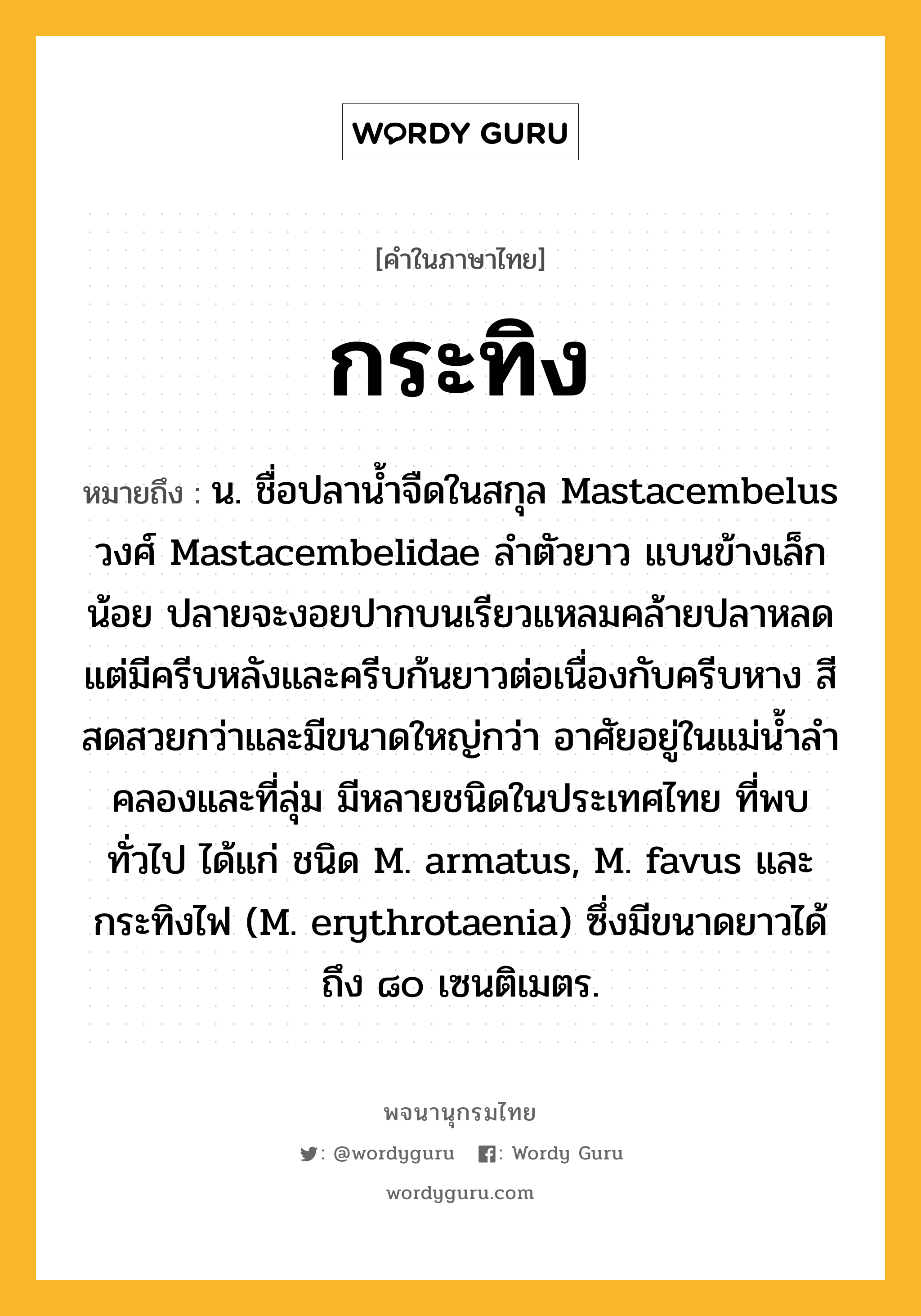 กระทิง ความหมาย หมายถึงอะไร?, คำในภาษาไทย กระทิง หมายถึง น. ชื่อปลานํ้าจืดในสกุล Mastacembelus วงศ์ Mastacembelidae ลําตัวยาว แบนข้างเล็กน้อย ปลายจะงอยปากบนเรียวแหลมคล้ายปลาหลด แต่มีครีบหลังและครีบก้นยาวต่อเนื่องกับครีบหาง สีสดสวยกว่าและมีขนาดใหญ่กว่า อาศัยอยู่ในแม่นํ้าลําคลองและที่ลุ่ม มีหลายชนิดในประเทศไทย ที่พบทั่วไป ได้แก่ ชนิด M. armatus, M. favus และกระทิงไฟ (M. erythrotaenia) ซึ่งมีขนาดยาวได้ถึง ๘๐ เซนติเมตร.