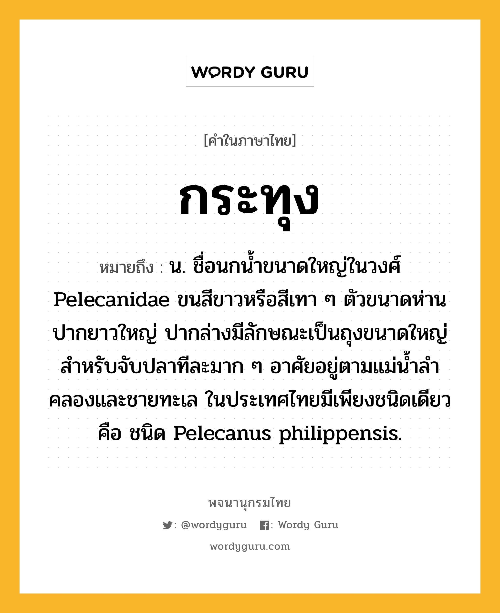 กระทุง หมายถึงอะไร?, คำในภาษาไทย กระทุง หมายถึง น. ชื่อนกนํ้าขนาดใหญ่ในวงศ์ Pelecanidae ขนสีขาวหรือสีเทา ๆ ตัวขนาดห่าน ปากยาวใหญ่ ปากล่างมีลักษณะเป็นถุงขนาดใหญ่สําหรับจับปลาทีละมาก ๆ อาศัยอยู่ตามแม่นํ้าลําคลองและชายทะเล ในประเทศไทยมีเพียงชนิดเดียวคือ ชนิด Pelecanus philippensis.