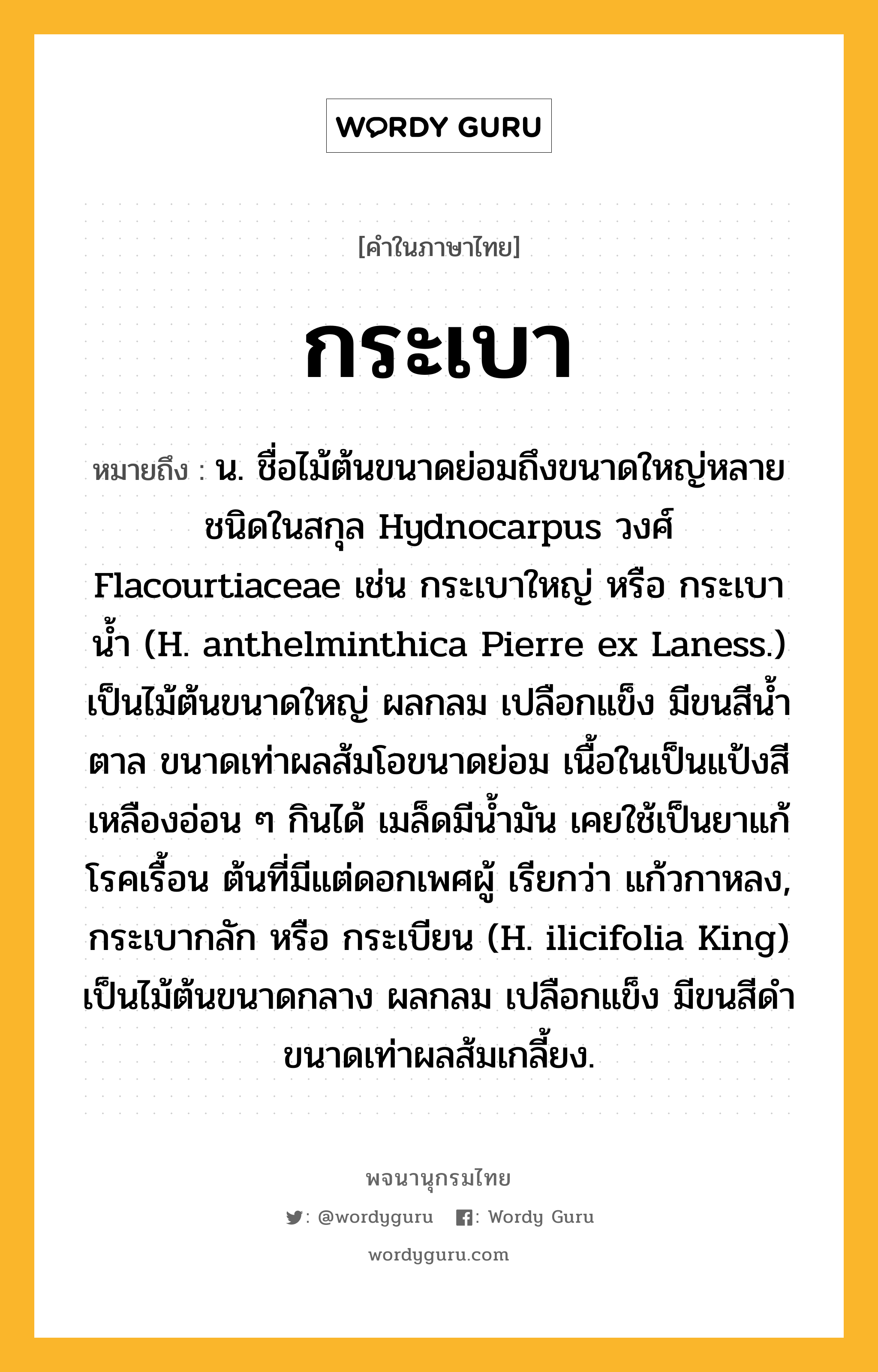 กระเบา ความหมาย หมายถึงอะไร?, คำในภาษาไทย กระเบา หมายถึง น. ชื่อไม้ต้นขนาดย่อมถึงขนาดใหญ่หลายชนิดในสกุล Hydnocarpus วงศ์ Flacourtiaceae เช่น กระเบาใหญ่ หรือ กระเบานํ้า (H. anthelminthica Pierre ex Laness.) เป็นไม้ต้นขนาดใหญ่ ผลกลม เปลือกแข็ง มีขนสีนํ้าตาล ขนาดเท่าผลส้มโอขนาดย่อม เนื้อในเป็นแป้งสีเหลืองอ่อน ๆ กินได้ เมล็ดมีนํ้ามัน เคยใช้เป็นยาแก้โรคเรื้อน ต้นที่มีแต่ดอกเพศผู้ เรียกว่า แก้วกาหลง, กระเบากลัก หรือ กระเบียน (H. ilicifolia King) เป็นไม้ต้นขนาดกลาง ผลกลม เปลือกแข็ง มีขนสีดํา ขนาดเท่าผลส้มเกลี้ยง.
