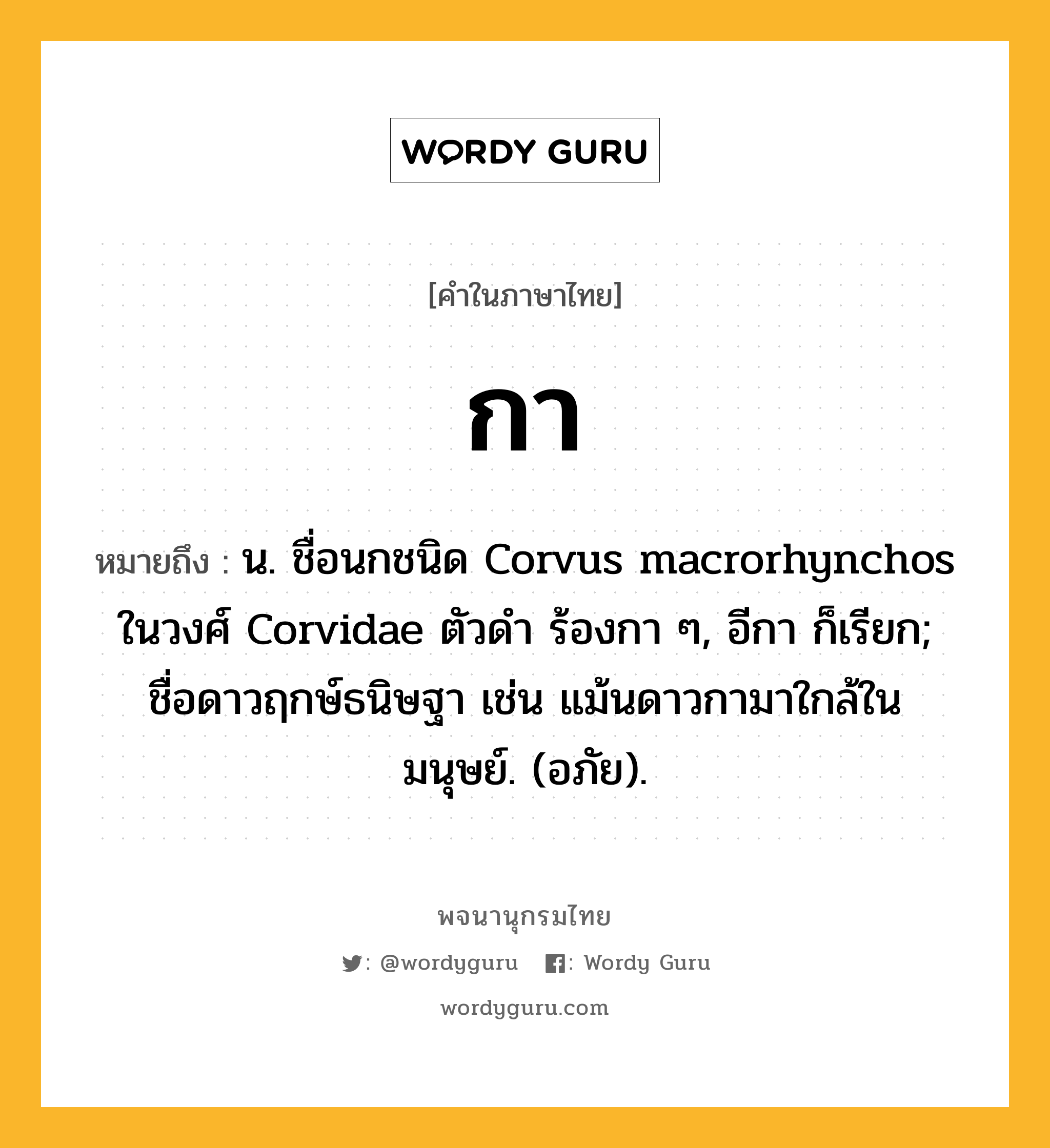 กา ความหมาย หมายถึงอะไร?, คำในภาษาไทย กา หมายถึง น. ชื่อนกชนิด Corvus macrorhynchos ในวงศ์ Corvidae ตัวดํา ร้องกา ๆ, อีกา ก็เรียก; ชื่อดาวฤกษ์ธนิษฐา เช่น แม้นดาวกามาใกล้ในมนุษย์. (อภัย).