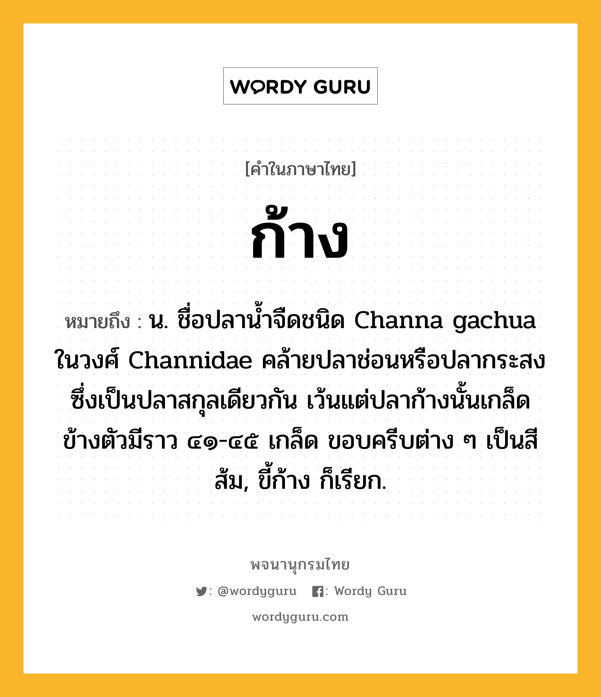 ก้าง ความหมาย หมายถึงอะไร?, คำในภาษาไทย ก้าง หมายถึง น. ชื่อปลานํ้าจืดชนิด Channa gachua ในวงศ์ Channidae คล้ายปลาช่อนหรือปลากระสงซึ่งเป็นปลาสกุลเดียวกัน เว้นแต่ปลาก้างนั้นเกล็ดข้างตัวมีราว ๔๑-๔๕ เกล็ด ขอบครีบต่าง ๆ เป็นสีส้ม, ขี้ก้าง ก็เรียก.