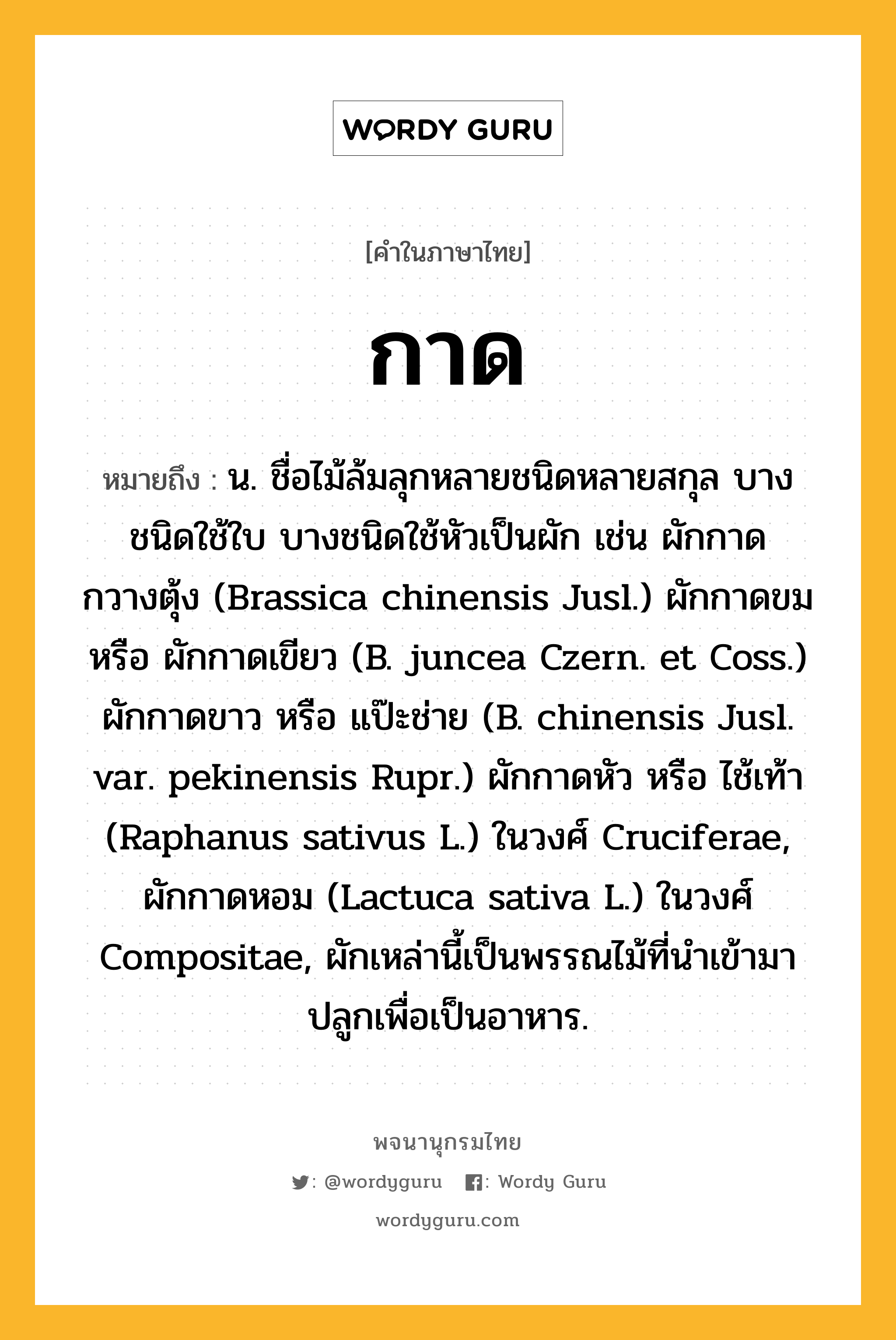 กาด ความหมาย หมายถึงอะไร?, คำในภาษาไทย กาด หมายถึง น. ชื่อไม้ล้มลุกหลายชนิดหลายสกุล บางชนิดใช้ใบ บางชนิดใช้หัวเป็นผัก เช่น ผักกาดกวางตุ้ง (Brassica chinensis Jusl.) ผักกาดขม หรือ ผักกาดเขียว (B. juncea Czern. et Coss.) ผักกาดขาว หรือ แป๊ะช่าย (B. chinensis Jusl. var. pekinensis Rupr.) ผักกาดหัว หรือ ไช้เท้า (Raphanus sativus L.) ในวงศ์ Cruciferae, ผักกาดหอม (Lactuca sativa L.) ในวงศ์ Compositae, ผักเหล่านี้เป็นพรรณไม้ที่นําเข้ามาปลูกเพื่อเป็นอาหาร.