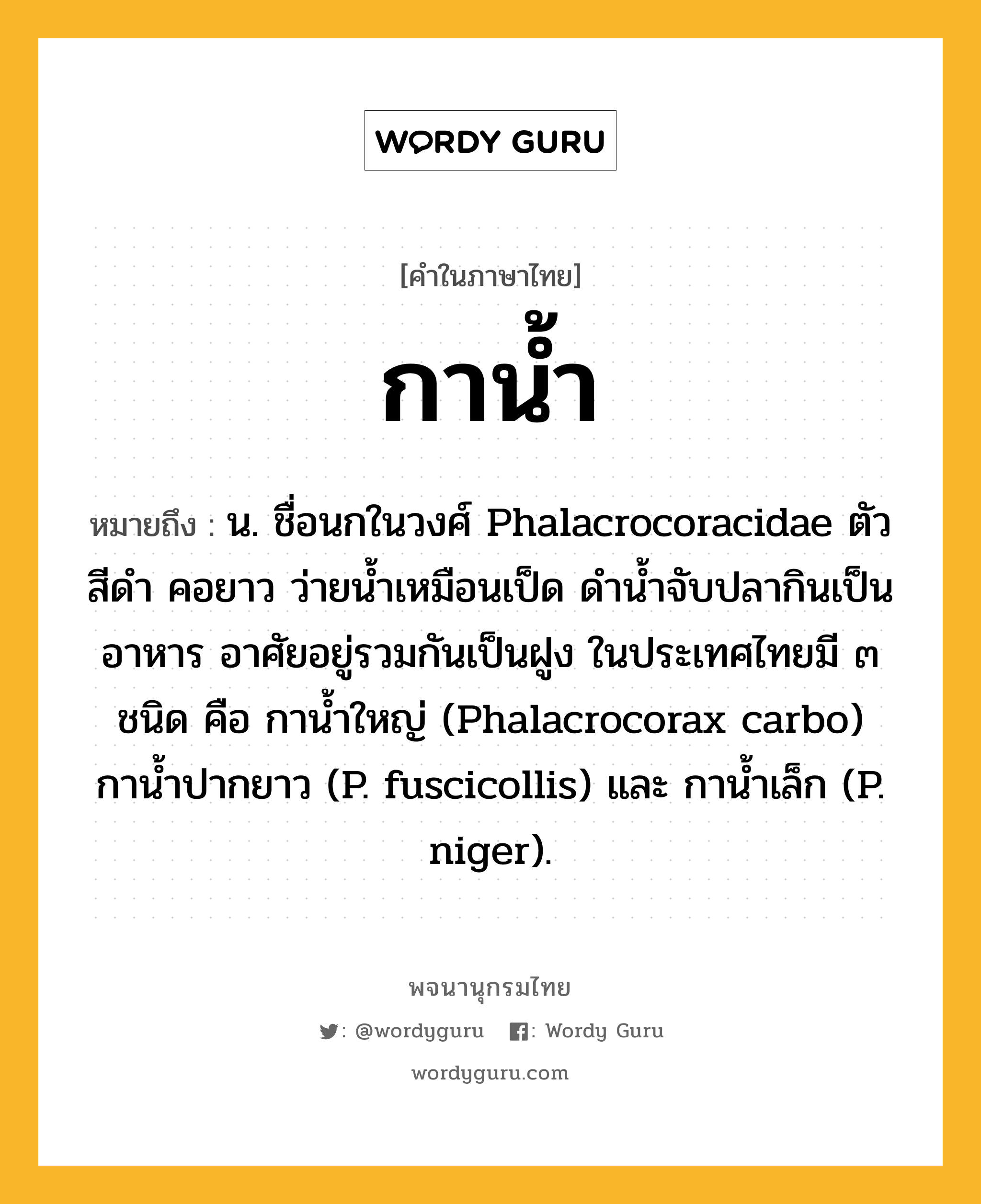 กาน้ำ หมายถึงอะไร?, คำในภาษาไทย กาน้ำ หมายถึง น. ชื่อนกในวงศ์ Phalacrocoracidae ตัวสีดํา คอยาว ว่ายนํ้าเหมือนเป็ด ดํานํ้าจับปลากินเป็นอาหาร อาศัยอยู่รวมกันเป็นฝูง ในประเทศไทยมี ๓ ชนิด คือ กานํ้าใหญ่ (Phalacrocorax carbo) กานํ้าปากยาว (P. fuscicollis) และ กานํ้าเล็ก (P. niger).