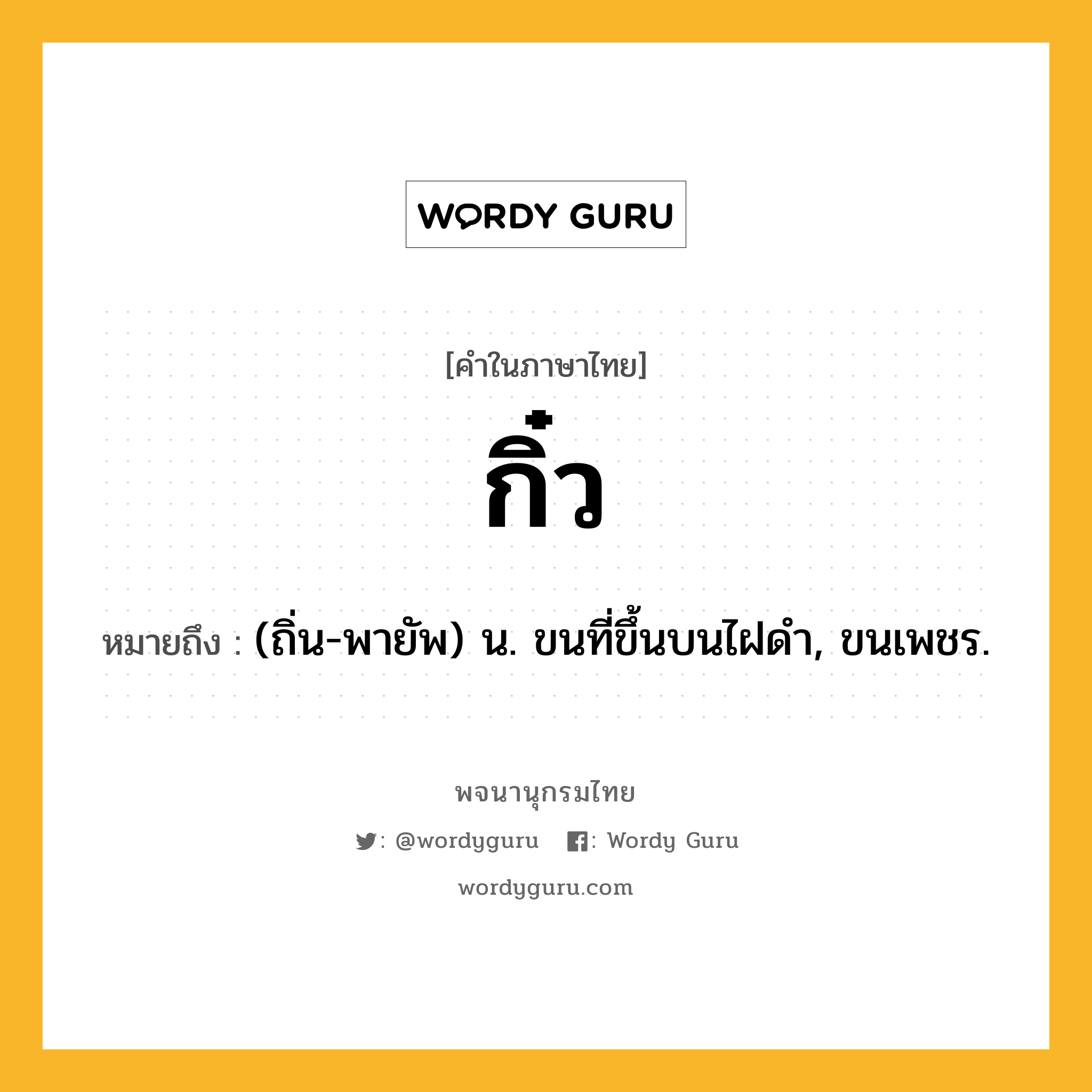 กิ๋ว ความหมาย หมายถึงอะไร?, คำในภาษาไทย กิ๋ว หมายถึง (ถิ่น-พายัพ) น. ขนที่ขึ้นบนไฝดํา, ขนเพชร.