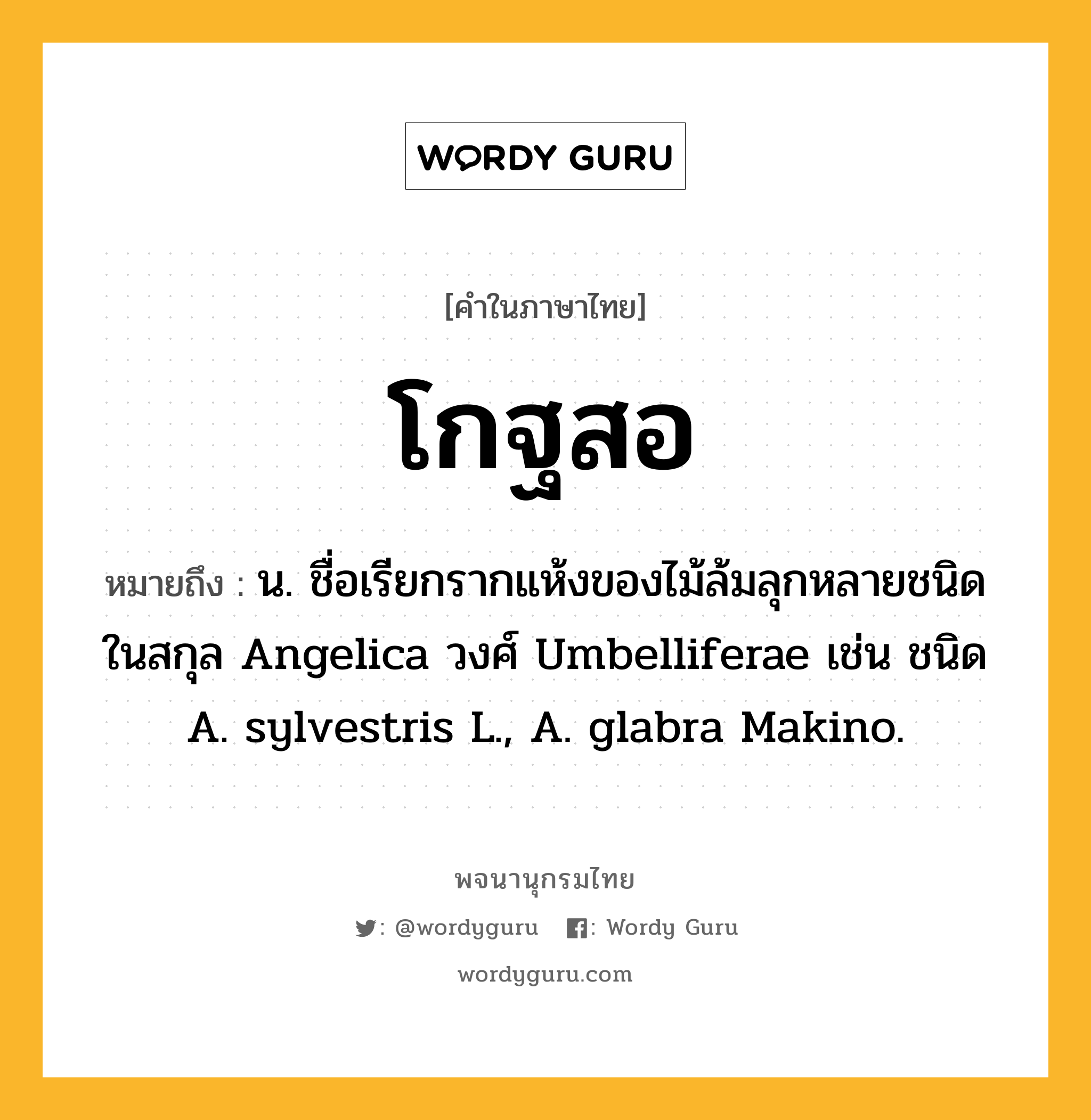 โกฐสอ หมายถึงอะไร?, คำในภาษาไทย โกฐสอ หมายถึง น. ชื่อเรียกรากแห้งของไม้ล้มลุกหลายชนิดในสกุล Angelica วงศ์ Umbelliferae เช่น ชนิด A. sylvestris L., A. glabra Makino.