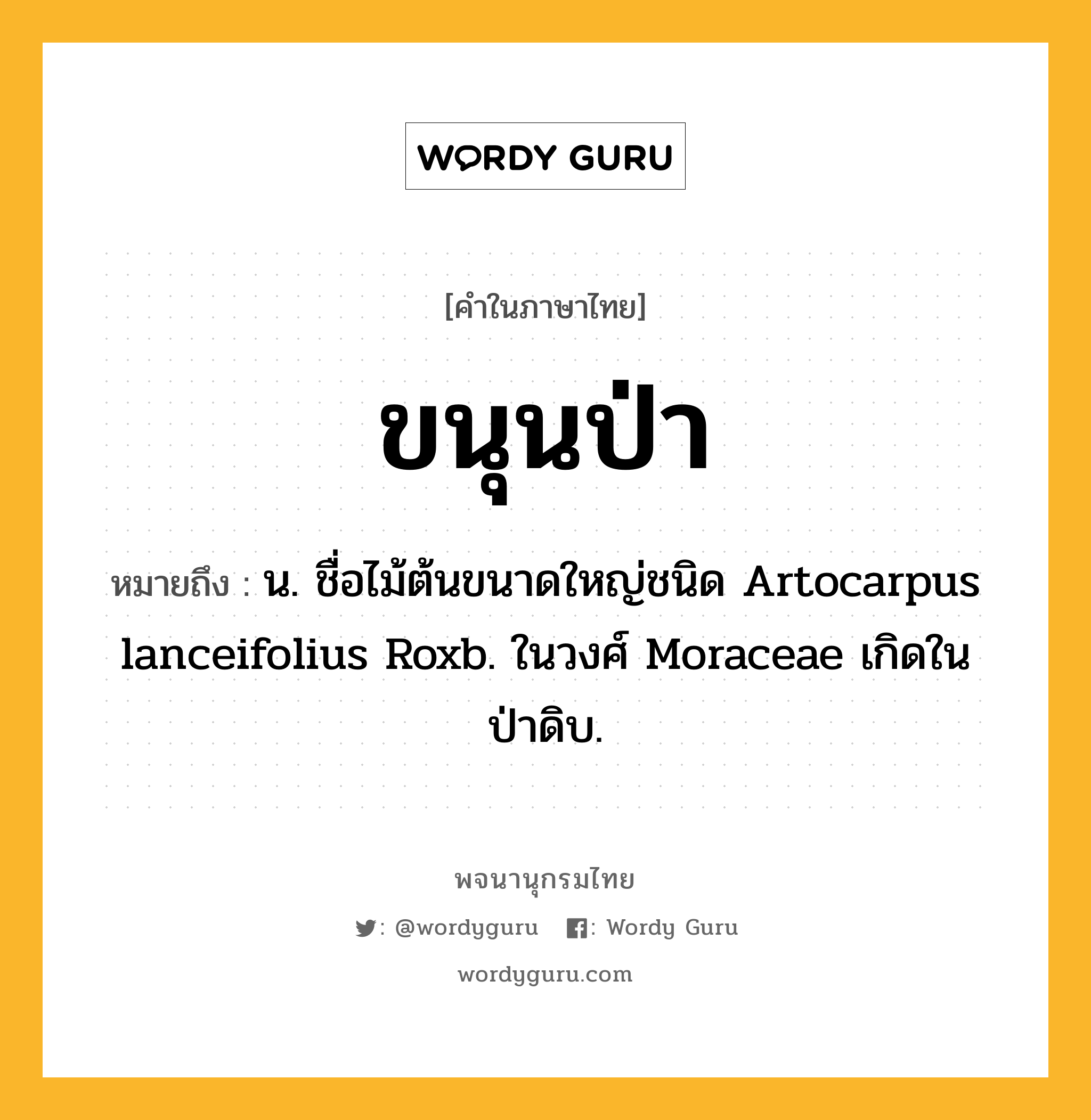ขนุนป่า หมายถึงอะไร?, คำในภาษาไทย ขนุนป่า หมายถึง น. ชื่อไม้ต้นขนาดใหญ่ชนิด Artocarpus lanceifolius Roxb. ในวงศ์ Moraceae เกิดในป่าดิบ.
