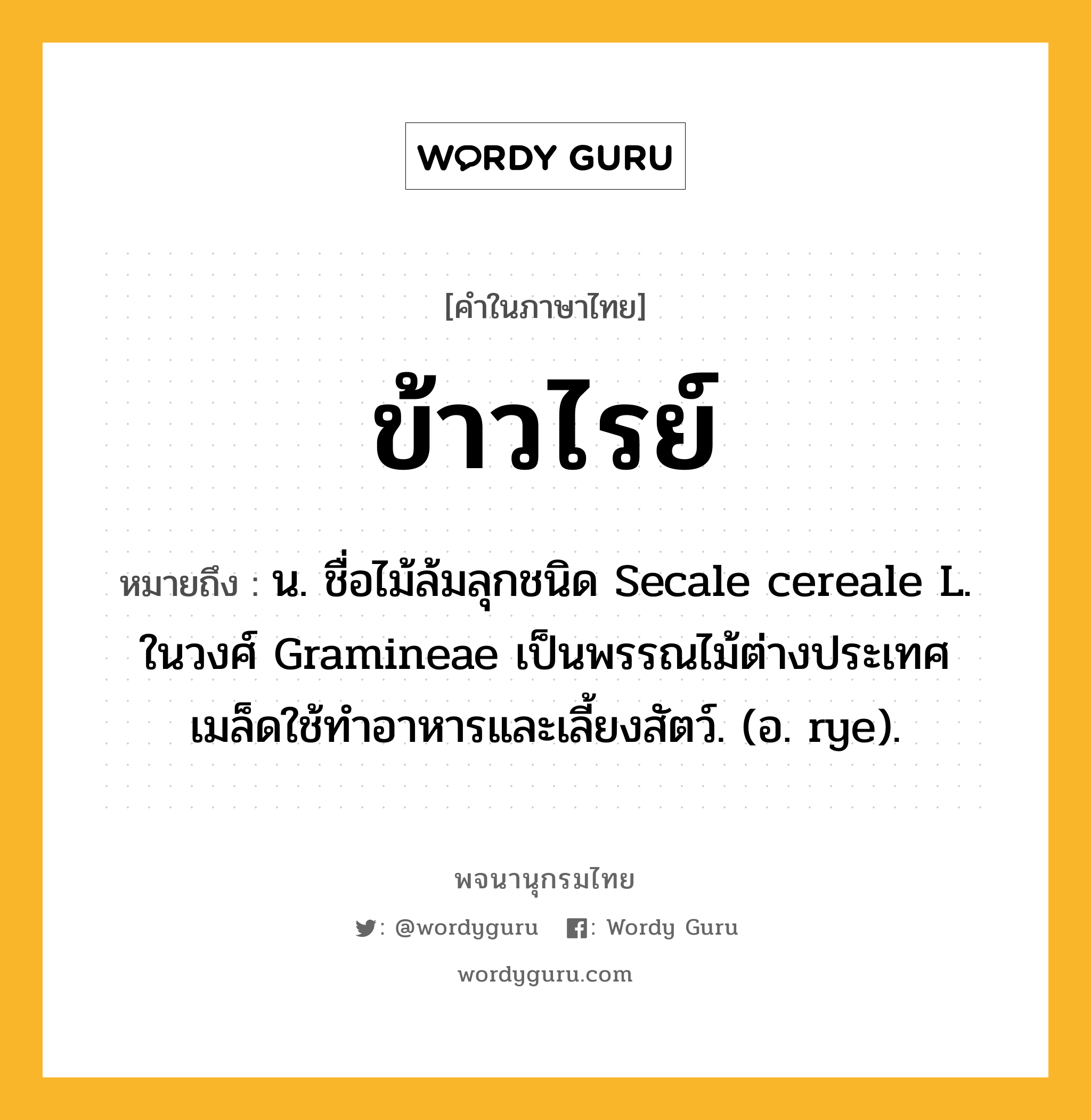 ข้าวไรย์ หมายถึงอะไร?, คำในภาษาไทย ข้าวไรย์ หมายถึง น. ชื่อไม้ล้มลุกชนิด Secale cereale L. ในวงศ์ Gramineae เป็นพรรณไม้ต่างประเทศ เมล็ดใช้ทําอาหารและเลี้ยงสัตว์. (อ. rye).