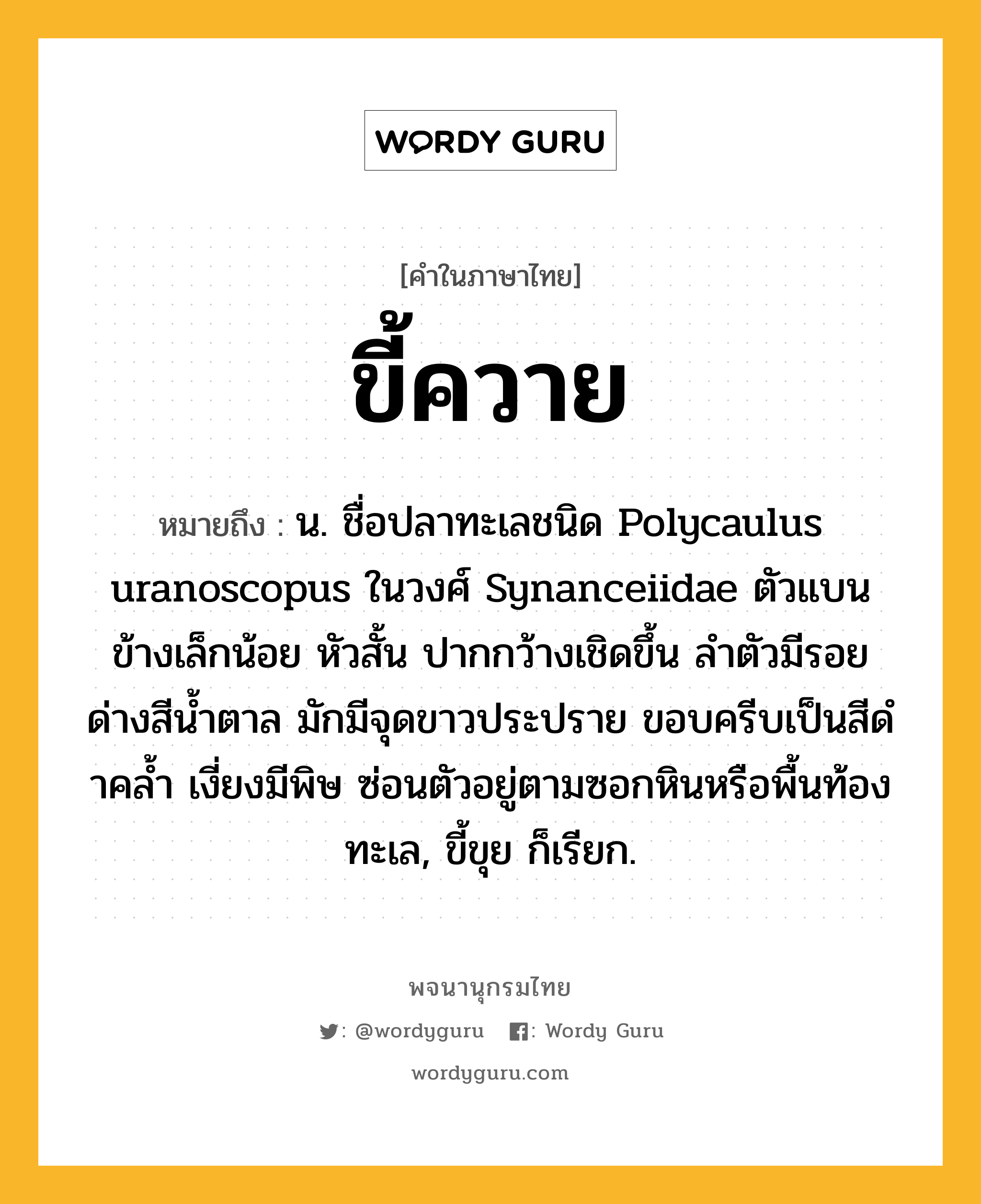 ขี้ควาย ความหมาย หมายถึงอะไร?, คำในภาษาไทย ขี้ควาย หมายถึง น. ชื่อปลาทะเลชนิด Polycaulus uranoscopus ในวงศ์ Synanceiidae ตัวแบนข้างเล็กน้อย หัวสั้น ปากกว้างเชิดขึ้น ลําตัวมีรอยด่างสีนํ้าตาล มักมีจุดขาวประปราย ขอบครีบเป็นสีดําคลํ้า เงี่ยงมีพิษ ซ่อนตัวอยู่ตามซอกหินหรือพื้นท้องทะเล, ขี้ขุย ก็เรียก.