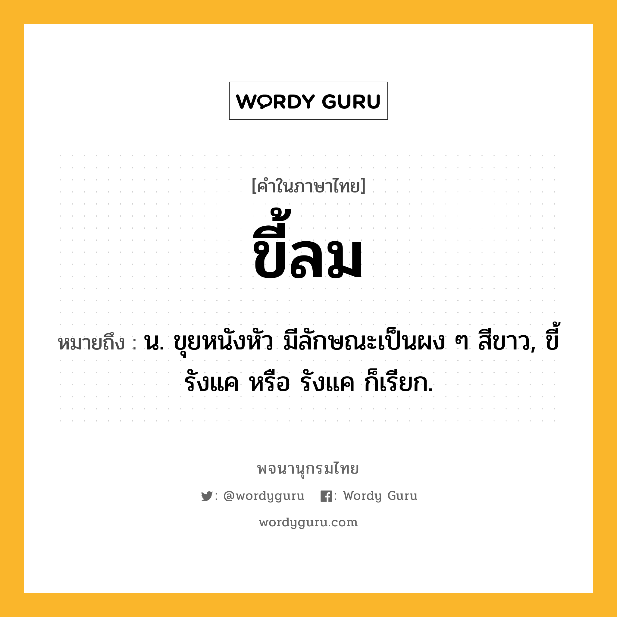 ขี้ลม ความหมาย หมายถึงอะไร?, คำในภาษาไทย ขี้ลม หมายถึง น. ขุยหนังหัว มีลักษณะเป็นผง ๆ สีขาว, ขี้รังแค หรือ รังแค ก็เรียก.