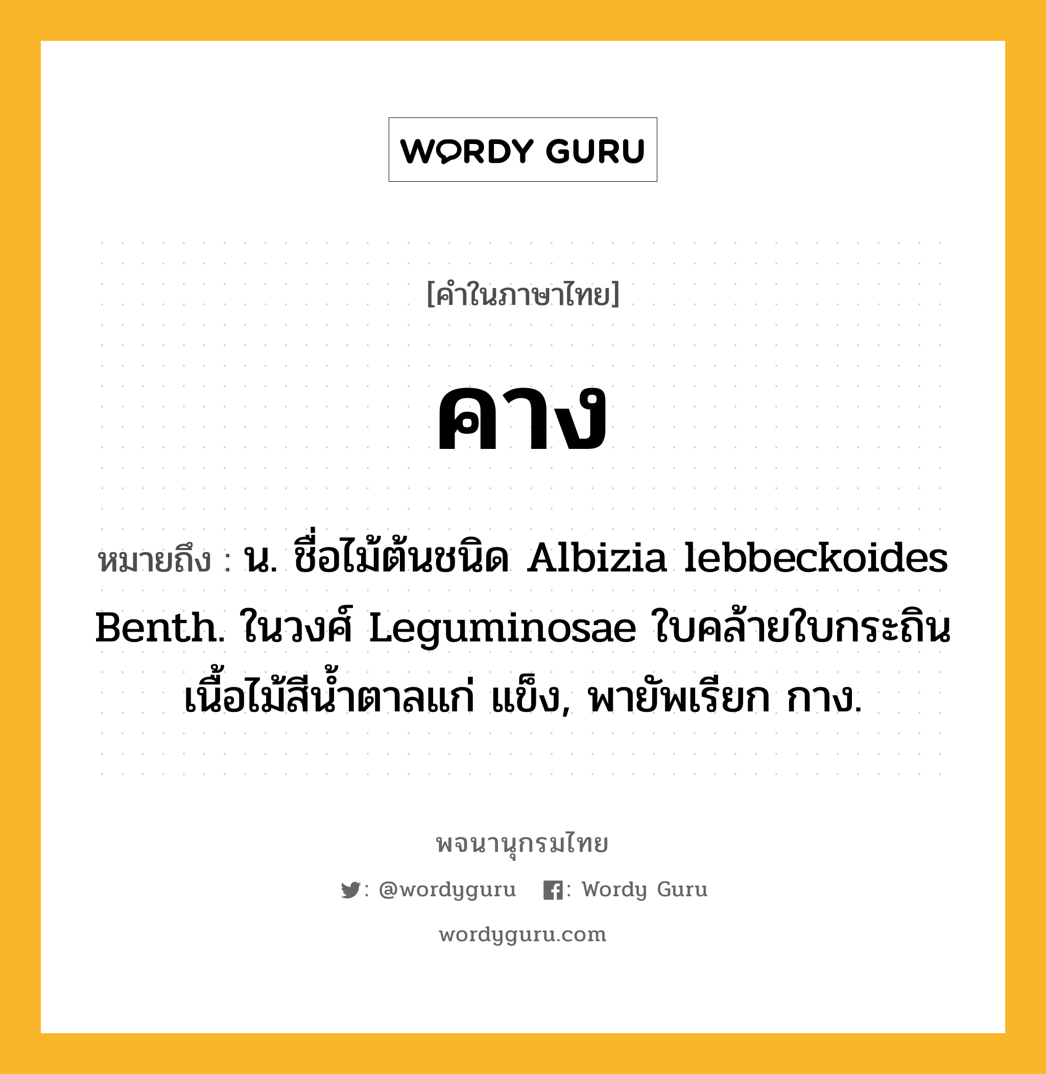 คาง ความหมาย หมายถึงอะไร?, คำในภาษาไทย คาง หมายถึง น. ชื่อไม้ต้นชนิด Albizia lebbeckoides Benth. ในวงศ์ Leguminosae ใบคล้ายใบกระถิน เนื้อไม้สีนํ้าตาลแก่ แข็ง, พายัพเรียก กาง.