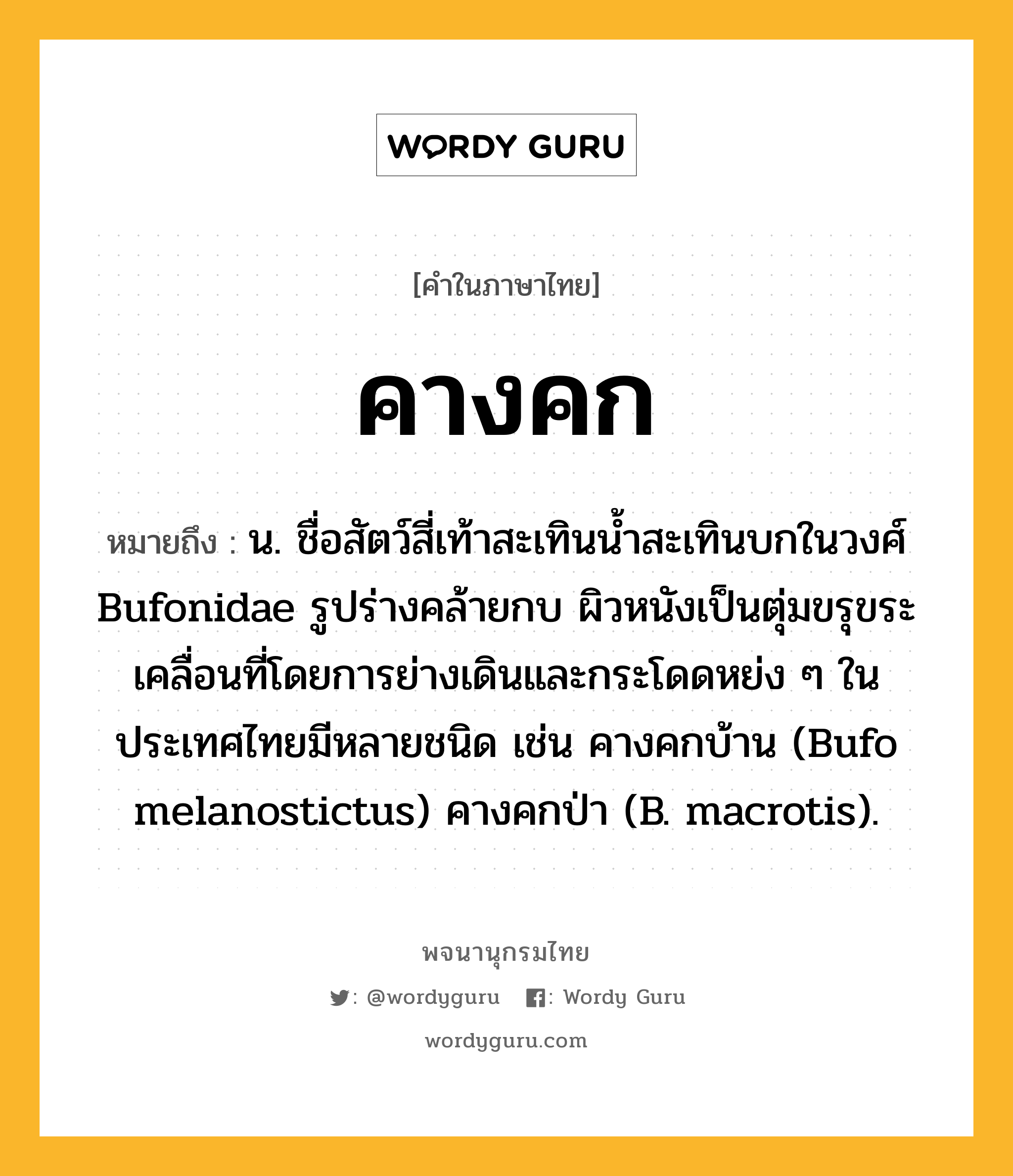 คางคก ความหมาย หมายถึงอะไร?, คำในภาษาไทย คางคก หมายถึง น. ชื่อสัตว์สี่เท้าสะเทินนํ้าสะเทินบกในวงศ์ Bufonidae รูปร่างคล้ายกบ ผิวหนังเป็นตุ่มขรุขระ เคลื่อนที่โดยการย่างเดินและกระโดดหย่ง ๆ ในประเทศไทยมีหลายชนิด เช่น คางคกบ้าน (Bufo melanostictus) คางคกป่า (B. macrotis).