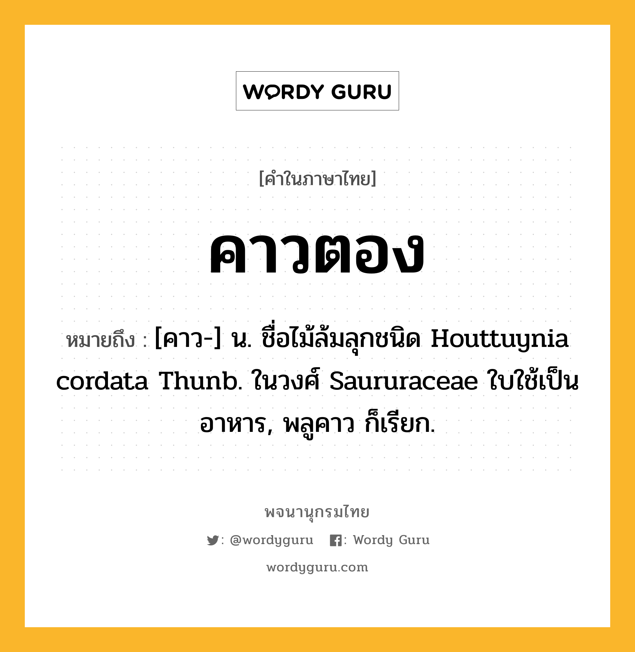 คาวตอง หมายถึงอะไร?, คำในภาษาไทย คาวตอง หมายถึง [คาว-] น. ชื่อไม้ล้มลุกชนิด Houttuynia cordata Thunb. ในวงศ์ Saururaceae ใบใช้เป็นอาหาร, พลูคาว ก็เรียก.