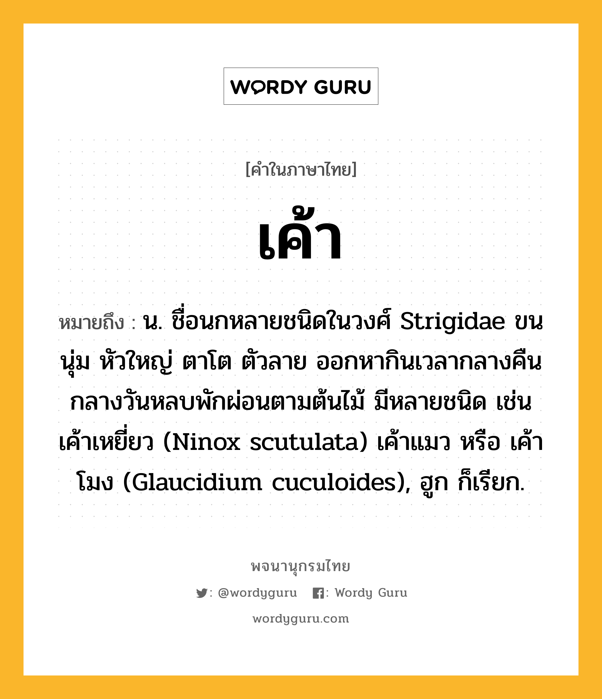 เค้า ความหมาย หมายถึงอะไร?, คำในภาษาไทย เค้า หมายถึง น. ชื่อนกหลายชนิดในวงศ์ Strigidae ขนนุ่ม หัวใหญ่ ตาโต ตัวลาย ออกหากินเวลากลางคืน กลางวันหลบพักผ่อนตามต้นไม้ มีหลายชนิด เช่น เค้าเหยี่ยว (Ninox scutulata) เค้าแมว หรือ เค้าโมง (Glaucidium cuculoides), ฮูก ก็เรียก.