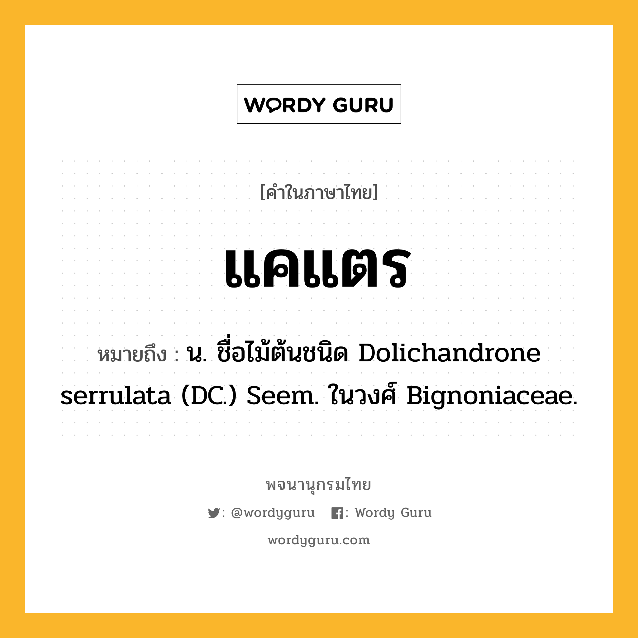 แคแตร ความหมาย หมายถึงอะไร?, คำในภาษาไทย แคแตร หมายถึง น. ชื่อไม้ต้นชนิด Dolichandrone serrulata (DC.) Seem. ในวงศ์ Bignoniaceae.