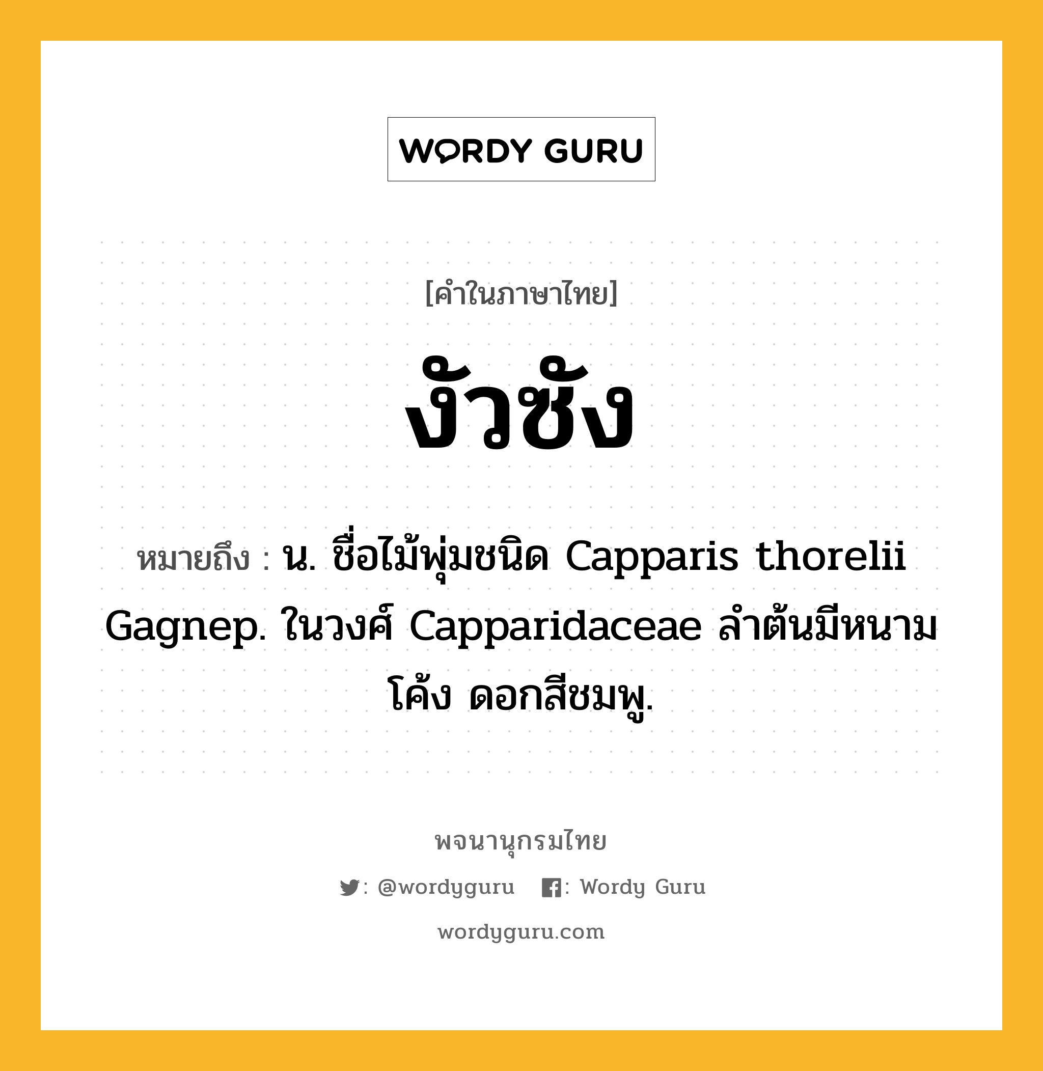 งัวซัง หมายถึงอะไร?, คำในภาษาไทย งัวซัง หมายถึง น. ชื่อไม้พุ่มชนิด Capparis thorelii Gagnep. ในวงศ์ Capparidaceae ลําต้นมีหนามโค้ง ดอกสีชมพู.