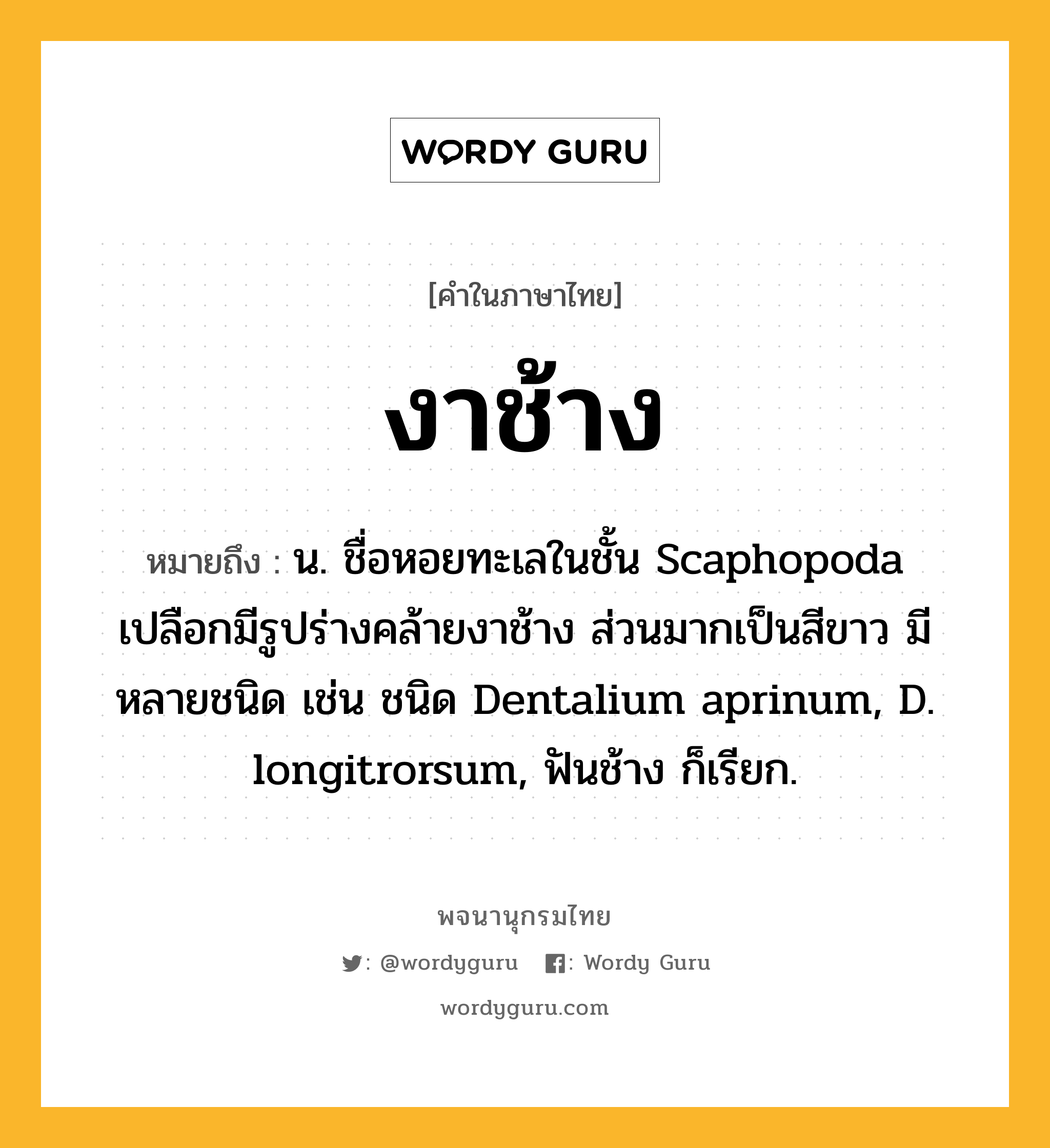 งาช้าง หมายถึงอะไร?, คำในภาษาไทย งาช้าง หมายถึง น. ชื่อหอยทะเลในชั้น Scaphopoda เปลือกมีรูปร่างคล้ายงาช้าง ส่วนมากเป็นสีขาว มีหลายชนิด เช่น ชนิด Dentalium aprinum, D. longitrorsum, ฟันช้าง ก็เรียก.