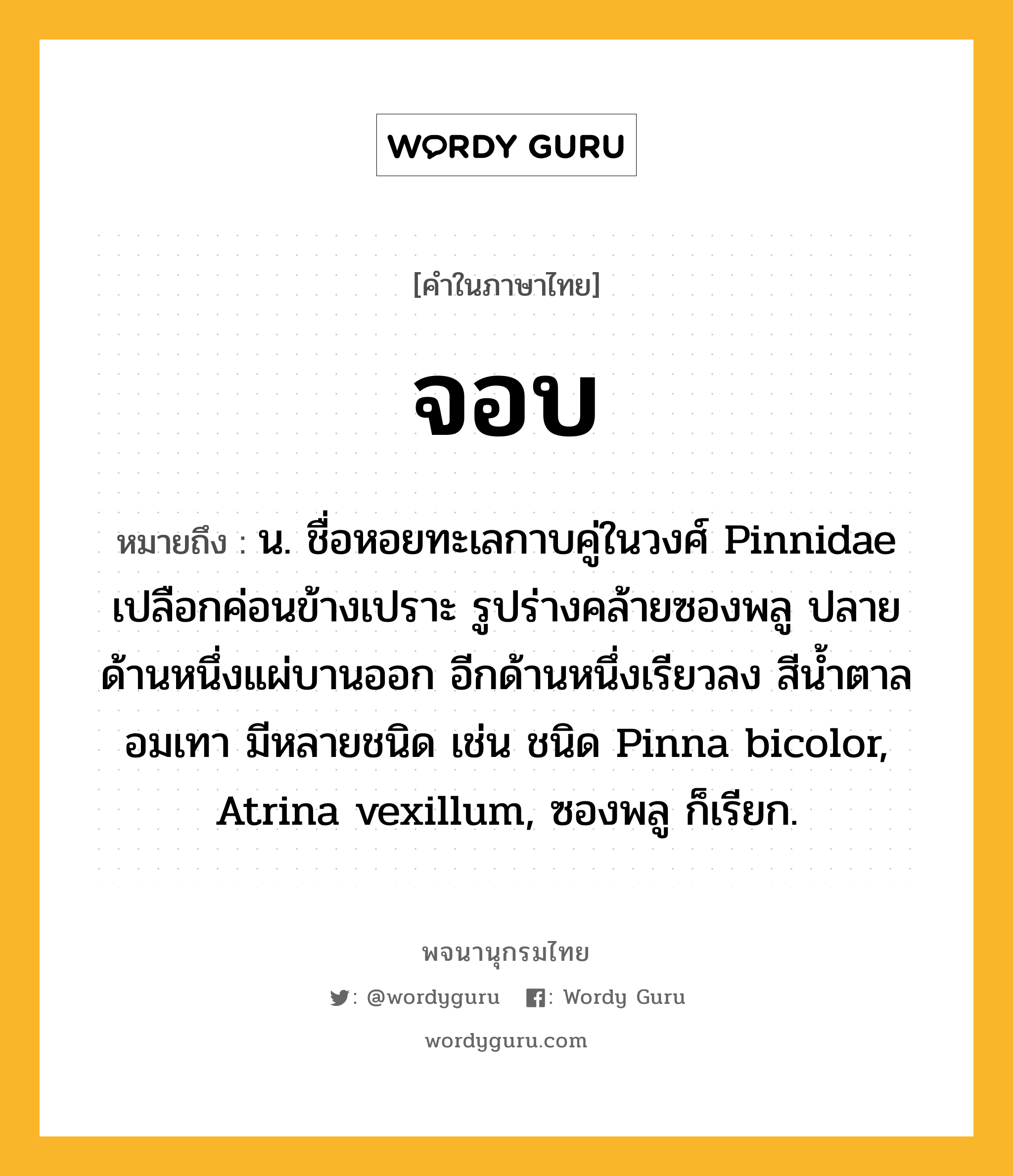จอบ ความหมาย หมายถึงอะไร?, คำในภาษาไทย จอบ หมายถึง น. ชื่อหอยทะเลกาบคู่ในวงศ์ Pinnidae เปลือกค่อนข้างเปราะ รูปร่างคล้ายซองพลู ปลายด้านหนึ่งแผ่บานออก อีกด้านหนึ่งเรียวลง สีนํ้าตาลอมเทา มีหลายชนิด เช่น ชนิด Pinna bicolor, Atrina vexillum, ซองพลู ก็เรียก.