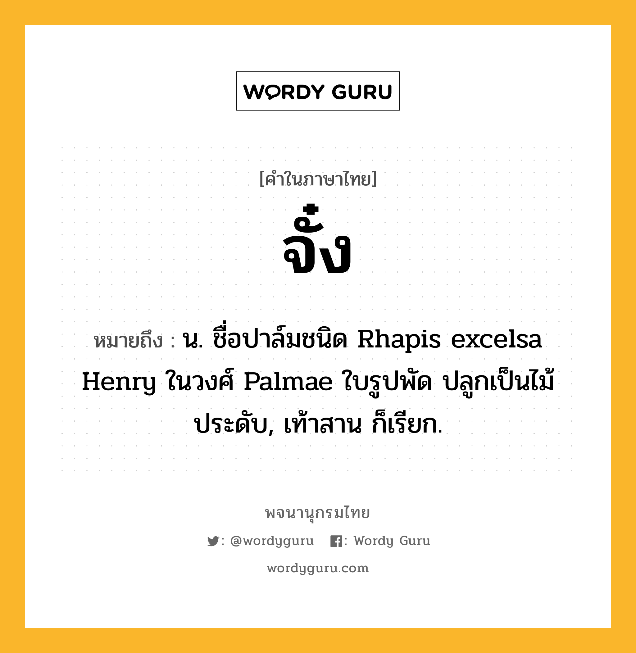 จั๋ง ความหมาย หมายถึงอะไร?, คำในภาษาไทย จั๋ง หมายถึง น. ชื่อปาล์มชนิด Rhapis excelsa Henry ในวงศ์ Palmae ใบรูปพัด ปลูกเป็นไม้ประดับ, เท้าสาน ก็เรียก.