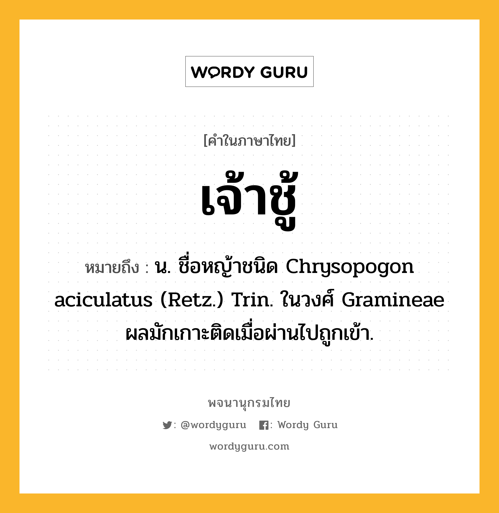 เจ้าชู้ ความหมาย หมายถึงอะไร?, คำในภาษาไทย เจ้าชู้ หมายถึง น. ชื่อหญ้าชนิด Chrysopogon aciculatus (Retz.) Trin. ในวงศ์ Gramineae ผลมักเกาะติดเมื่อผ่านไปถูกเข้า.