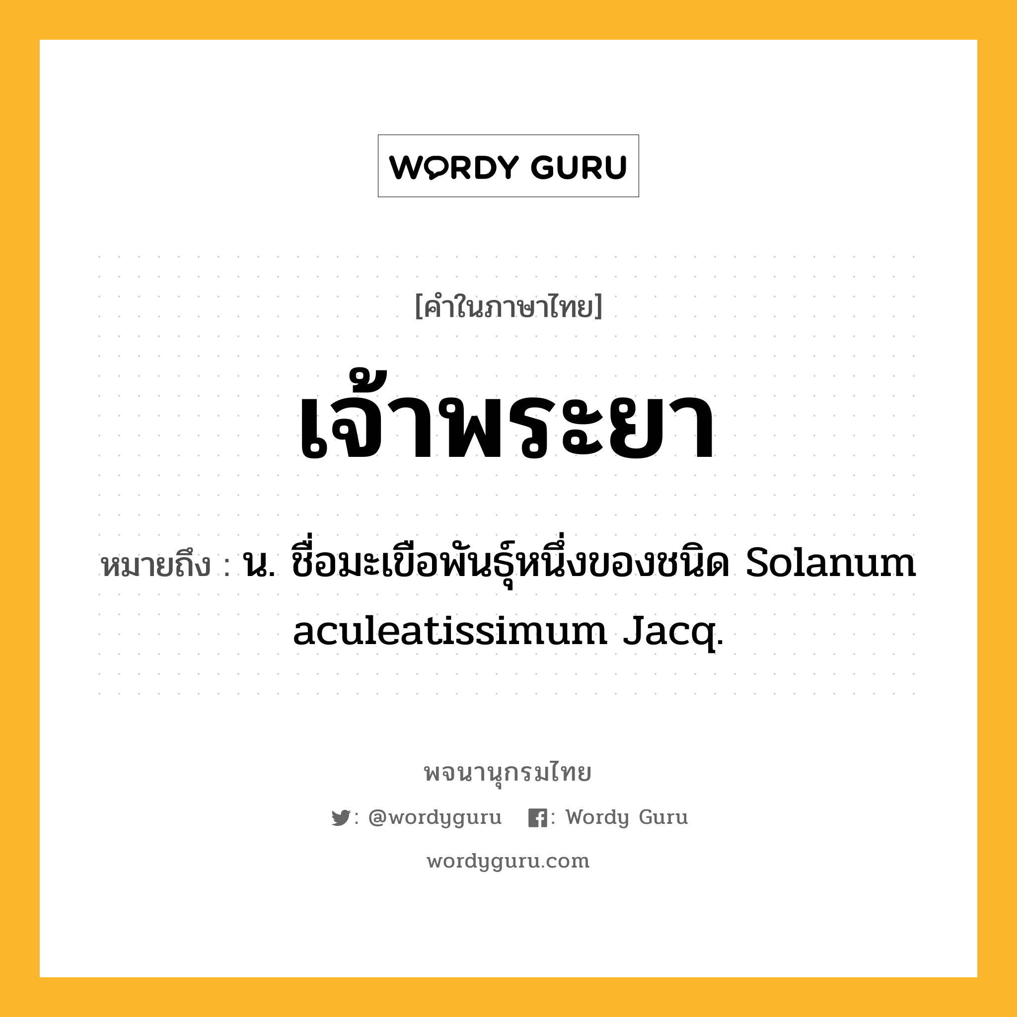 เจ้าพระยา ความหมาย หมายถึงอะไร?, คำในภาษาไทย เจ้าพระยา หมายถึง น. ชื่อมะเขือพันธุ์หนึ่งของชนิด Solanum aculeatissimum Jacq.