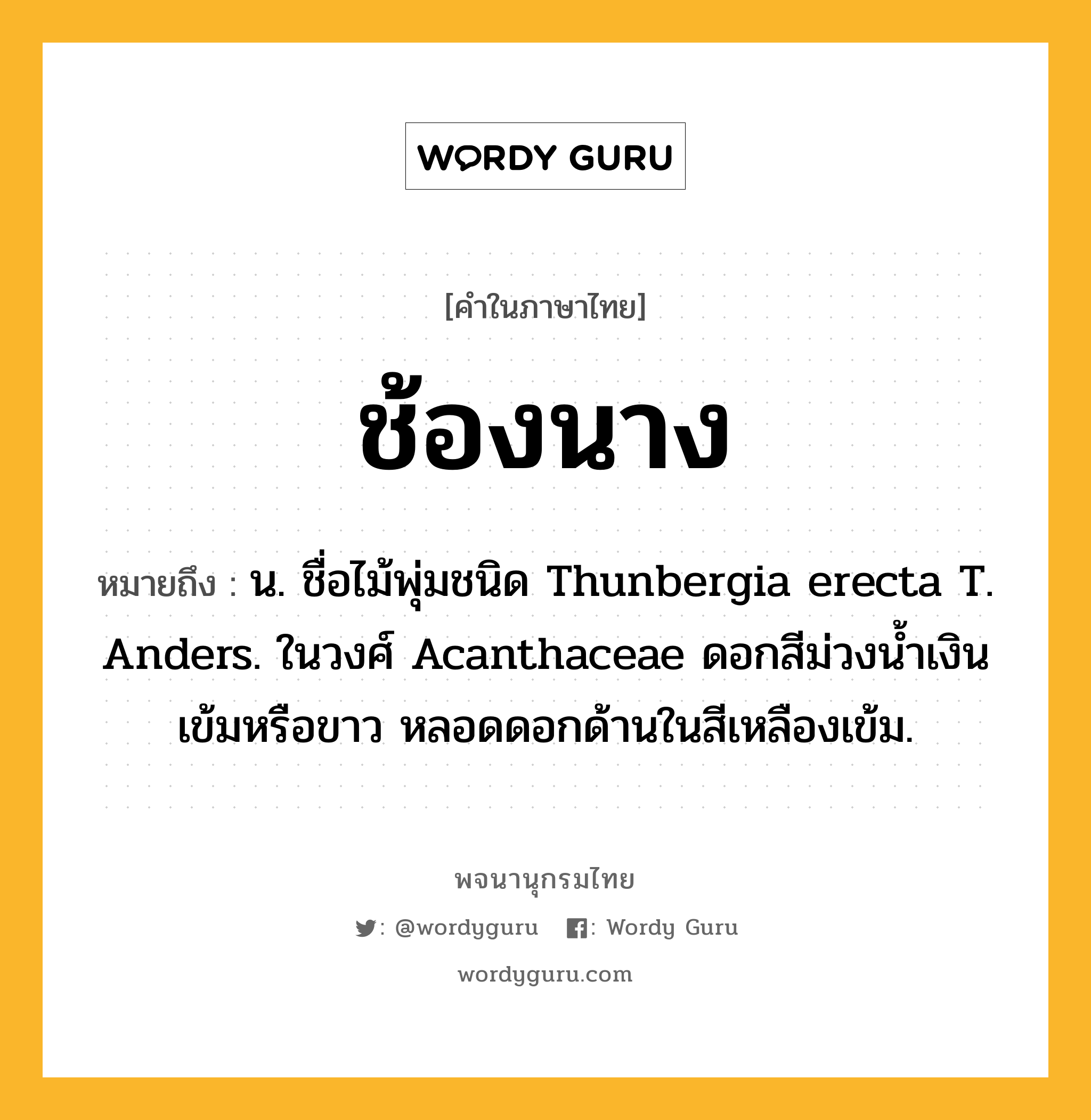 ช้องนาง หมายถึงอะไร?, คำในภาษาไทย ช้องนาง หมายถึง น. ชื่อไม้พุ่มชนิด Thunbergia erecta T. Anders. ในวงศ์ Acanthaceae ดอกสีม่วงนํ้าเงินเข้มหรือขาว หลอดดอกด้านในสีเหลืองเข้ม.