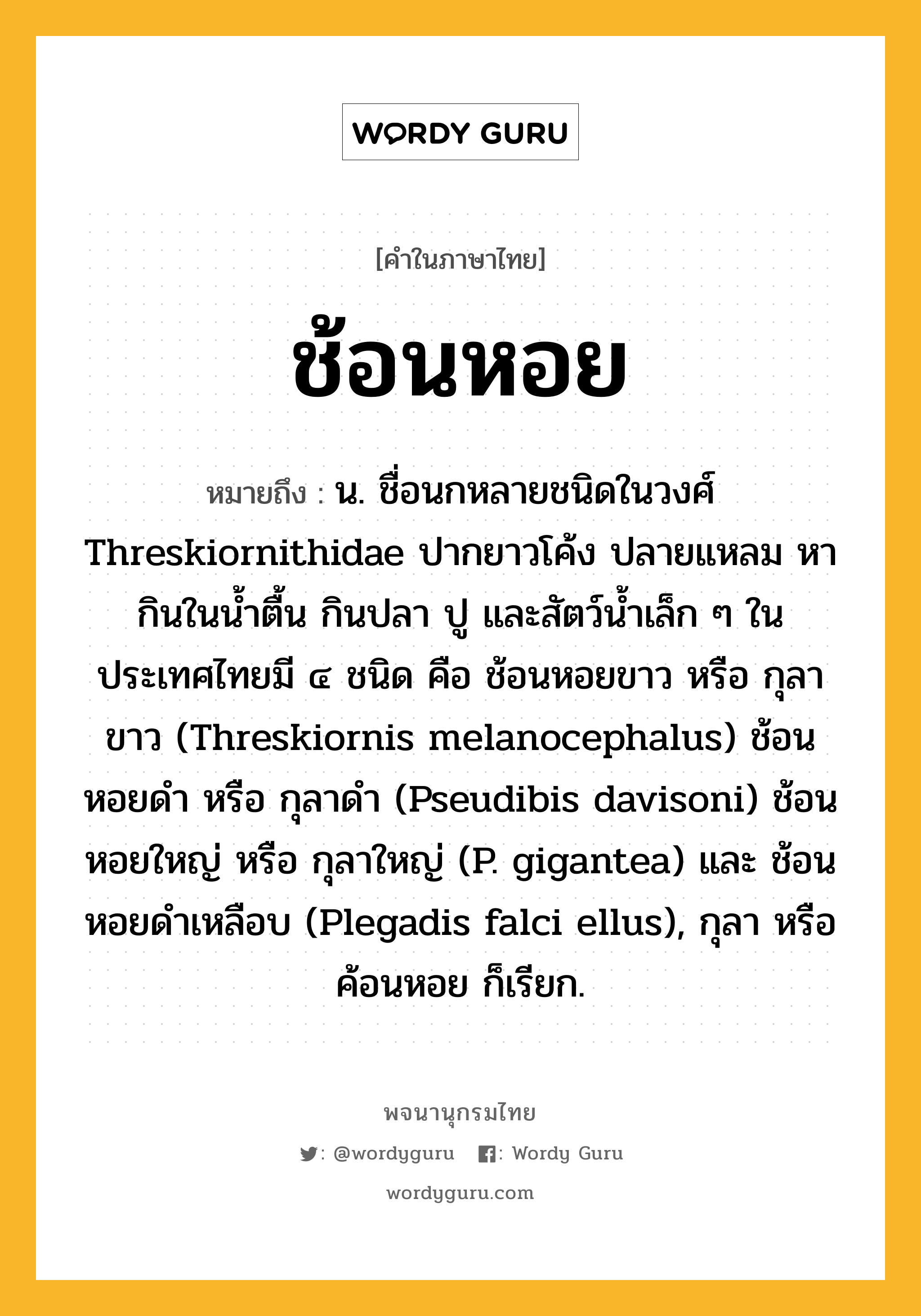ช้อนหอย ความหมาย หมายถึงอะไร?, คำในภาษาไทย ช้อนหอย หมายถึง น. ชื่อนกหลายชนิดในวงศ์ Threskiornithidae ปากยาวโค้ง ปลายแหลม หากินในนํ้าตื้น กินปลา ปู และสัตว์นํ้าเล็ก ๆ ในประเทศไทยมี ๔ ชนิด คือ ช้อนหอยขาว หรือ กุลาขาว (Threskiornis melanocephalus) ช้อนหอยดํา หรือ กุลาดํา (Pseudibis davisoni) ช้อนหอยใหญ่ หรือ กุลาใหญ่ (P. gigantea) และ ช้อนหอยดำเหลือบ (Plegadis falci ellus), กุลา หรือ ค้อนหอย ก็เรียก.