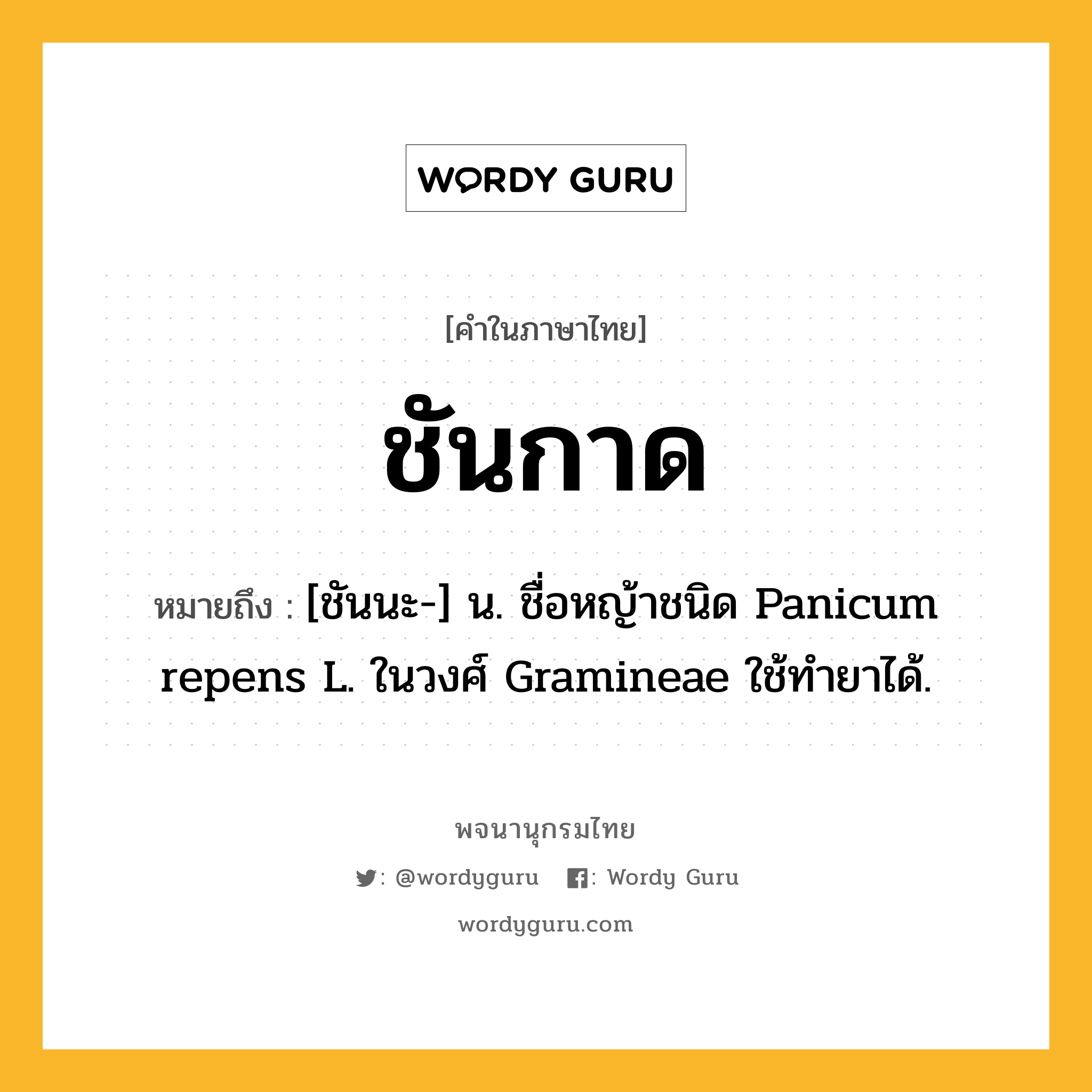 ชันกาด หมายถึงอะไร?, คำในภาษาไทย ชันกาด หมายถึง [ชันนะ-] น. ชื่อหญ้าชนิด Panicum repens L. ในวงศ์ Gramineae ใช้ทํายาได้.