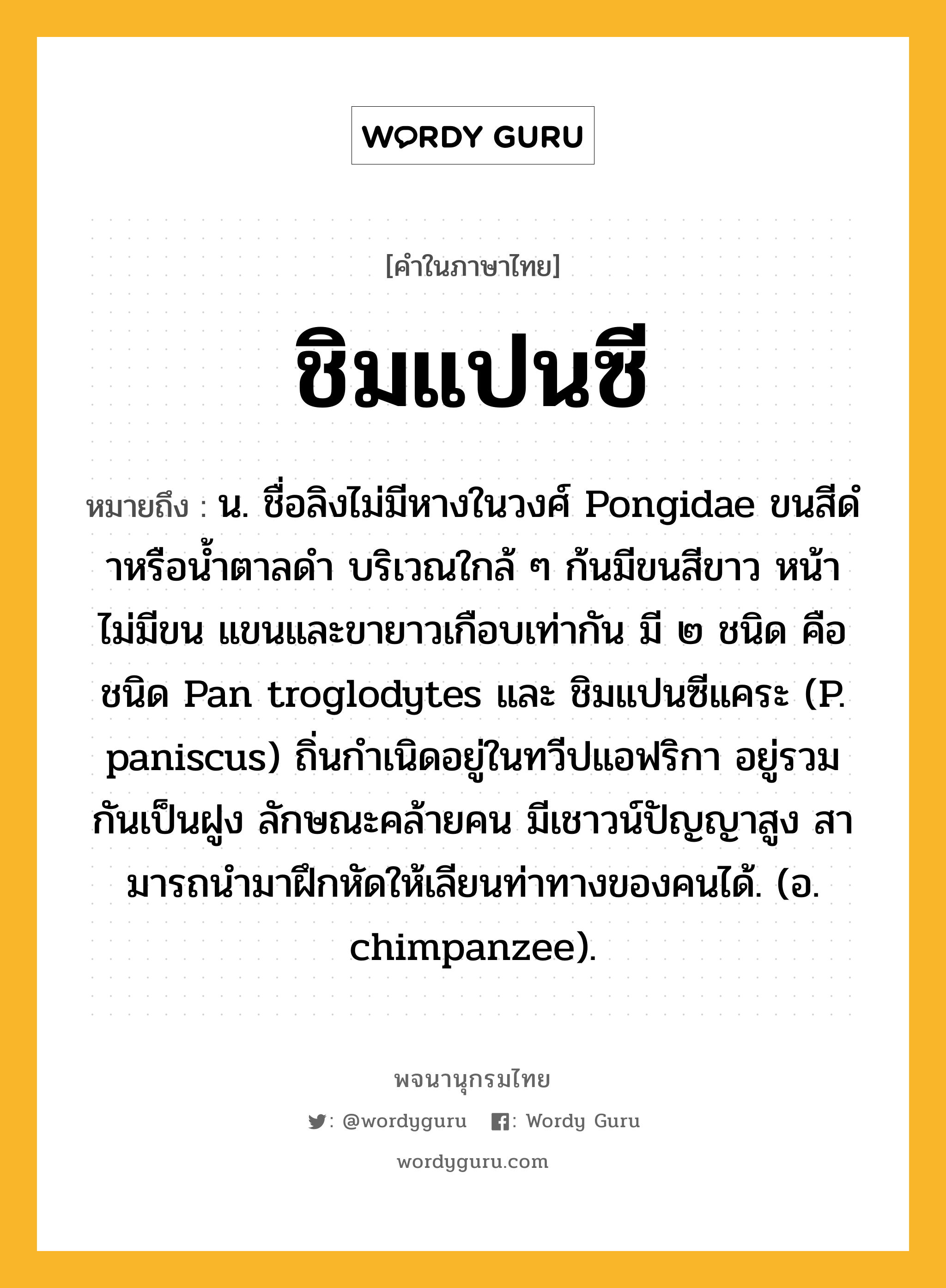 ชิมแปนซี หมายถึงอะไร?, คำในภาษาไทย ชิมแปนซี หมายถึง น. ชื่อลิงไม่มีหางในวงศ์ Pongidae ขนสีดําหรือน้ำตาลดำ บริเวณใกล้ ๆ ก้นมีขนสีขาว หน้าไม่มีขน แขนและขายาวเกือบเท่ากัน มี ๒ ชนิด คือ ชนิด Pan troglodytes และ ชิมแปนซีแคระ (P. paniscus) ถิ่นกําเนิดอยู่ในทวีปแอฟริกา อยู่รวมกันเป็นฝูง ลักษณะคล้ายคน มีเชาวน์ปัญญาสูง สามารถนํามาฝึกหัดให้เลียนท่าทางของคนได้. (อ. chimpanzee).