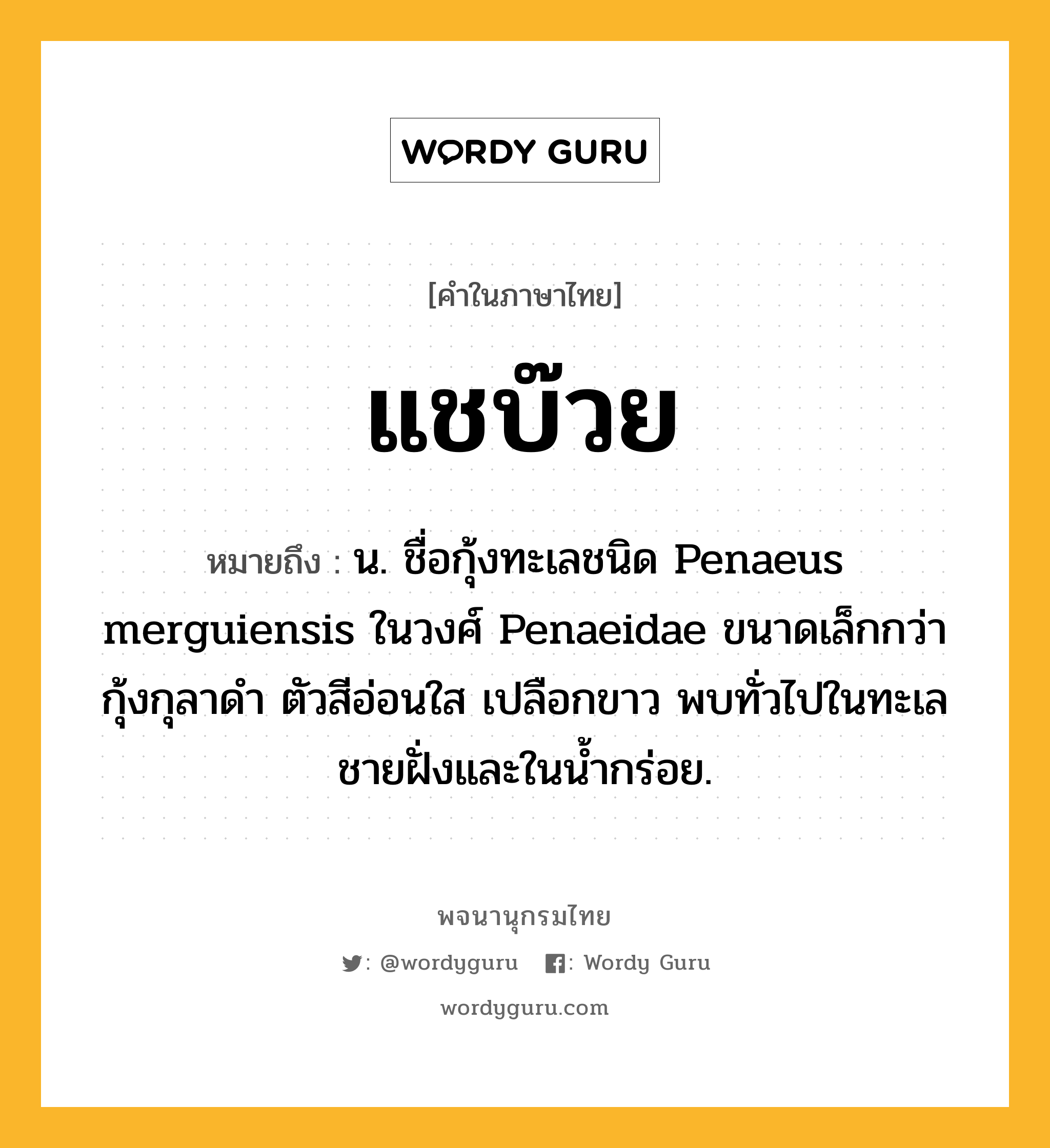 แชบ๊วย ความหมาย หมายถึงอะไร?, คำในภาษาไทย แชบ๊วย หมายถึง น. ชื่อกุ้งทะเลชนิด Penaeus merguiensis ในวงศ์ Penaeidae ขนาดเล็กกว่ากุ้งกุลาดํา ตัวสีอ่อนใส เปลือกขาว พบทั่วไปในทะเลชายฝั่งและในนํ้ากร่อย.