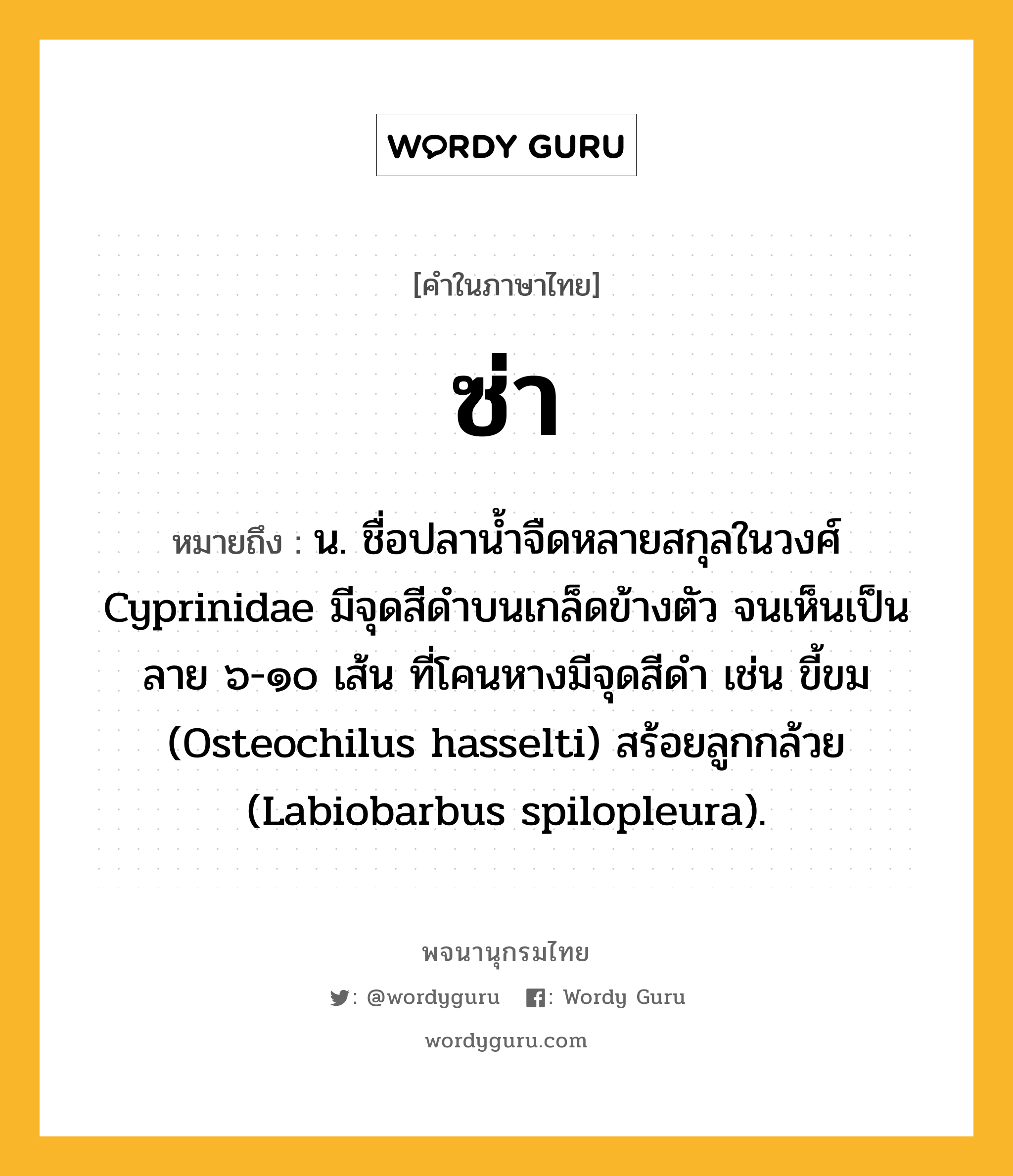 ซ่า หมายถึงอะไร?, คำในภาษาไทย ซ่า หมายถึง น. ชื่อปลานํ้าจืดหลายสกุลในวงศ์ Cyprinidae มีจุดสีดําบนเกล็ดข้างตัว จนเห็นเป็นลาย ๖-๑๐ เส้น ที่โคนหางมีจุดสีดํา เช่น ขี้ขม (Osteochilus hasselti) สร้อยลูกกล้วย (Labiobarbus spilopleura).