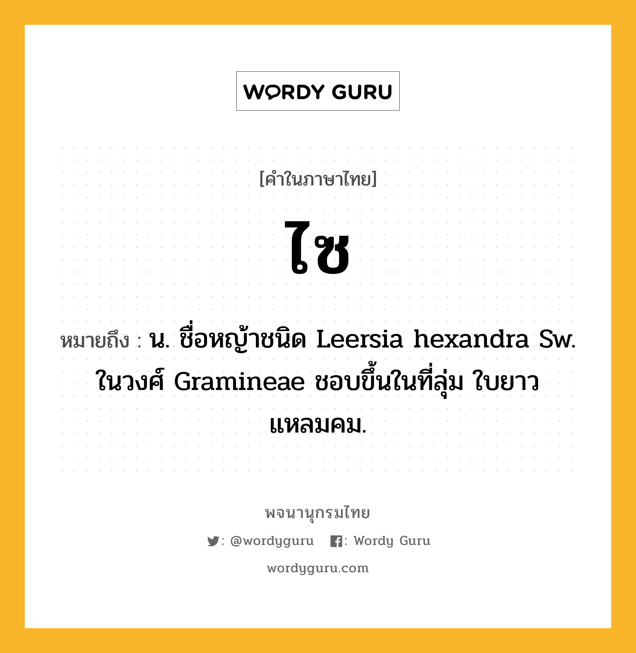 ไซ หมายถึงอะไร?, คำในภาษาไทย ไซ หมายถึง น. ชื่อหญ้าชนิด Leersia hexandra Sw. ในวงศ์ Gramineae ชอบขึ้นในที่ลุ่ม ใบยาวแหลมคม.