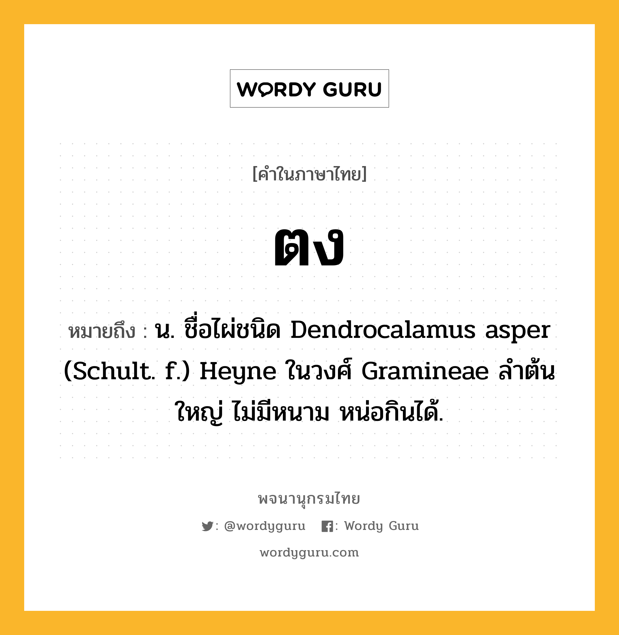 ตง ความหมาย หมายถึงอะไร?, คำในภาษาไทย ตง หมายถึง น. ชื่อไผ่ชนิด Dendrocalamus asper (Schult. f.) Heyne ในวงศ์ Gramineae ลําต้นใหญ่ ไม่มีหนาม หน่อกินได้.