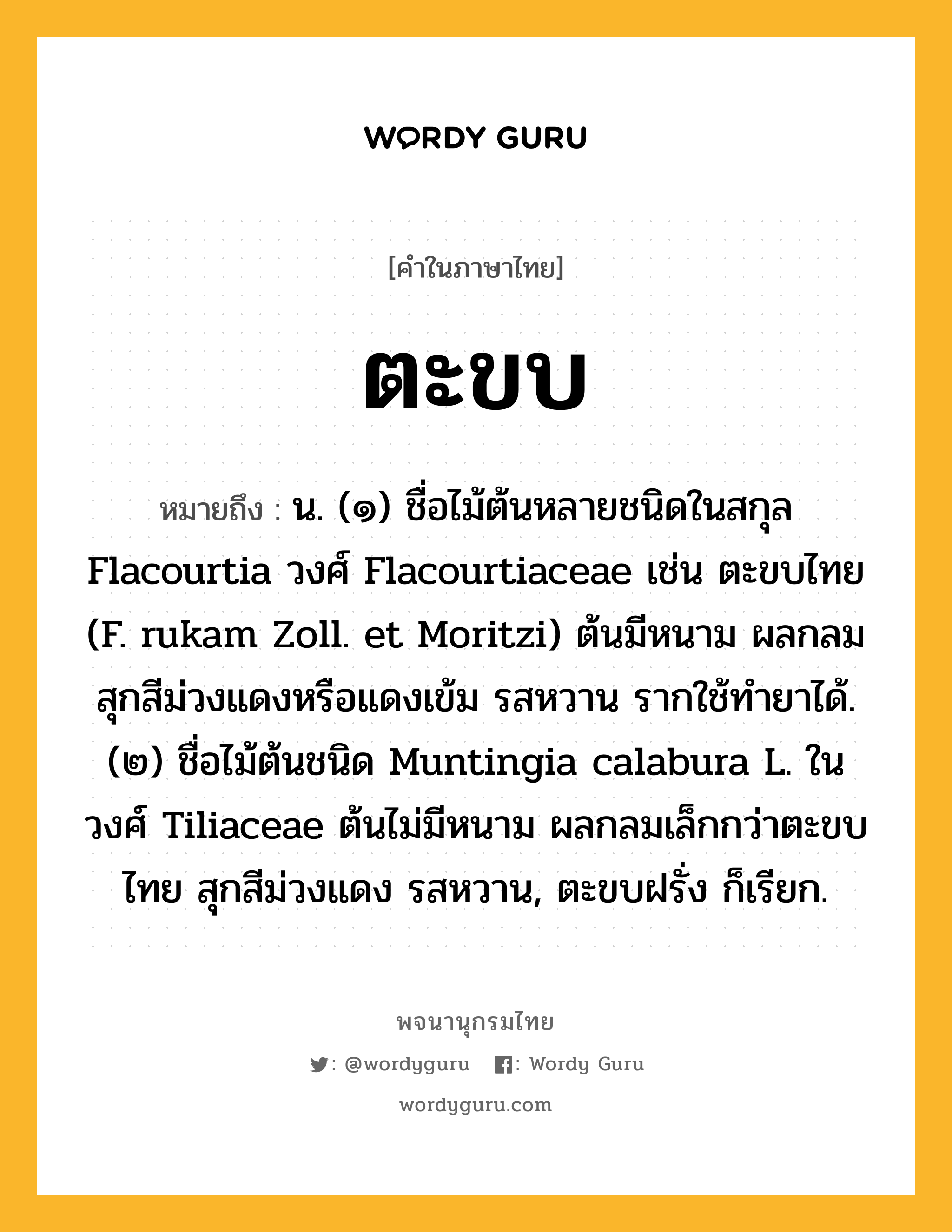 ตะขบ หมายถึงอะไร?, คำในภาษาไทย ตะขบ หมายถึง น. (๑) ชื่อไม้ต้นหลายชนิดในสกุล Flacourtia วงศ์ Flacourtiaceae เช่น ตะขบไทย (F. rukam Zoll. et Moritzi) ต้นมีหนาม ผลกลม สุกสีม่วงแดงหรือแดงเข้ม รสหวาน รากใช้ทํายาได้. (๒) ชื่อไม้ต้นชนิด Muntingia calabura L. ในวงศ์ Tiliaceae ต้นไม่มีหนาม ผลกลมเล็กกว่าตะขบไทย สุกสีม่วงแดง รสหวาน, ตะขบฝรั่ง ก็เรียก.