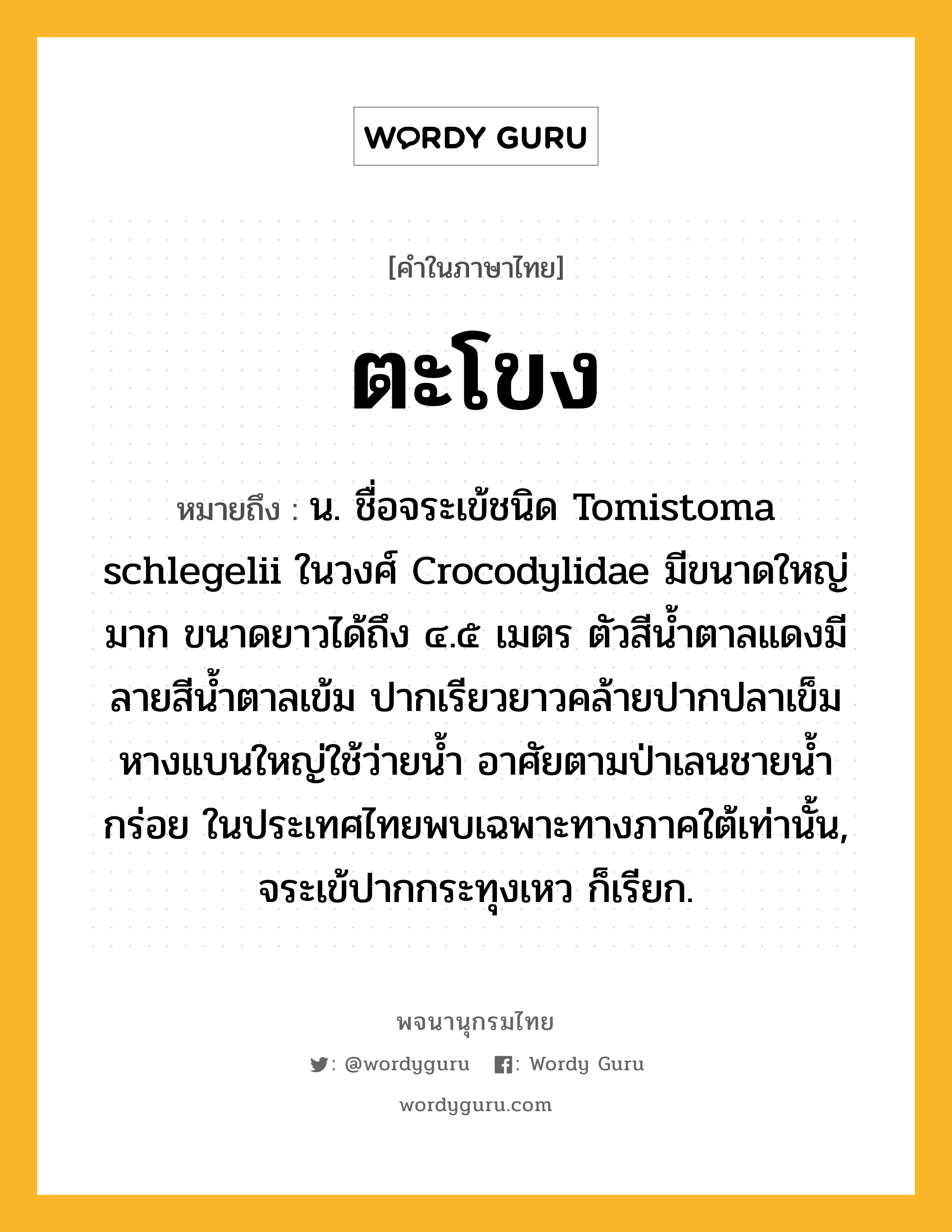 ตะโขง หมายถึงอะไร?, คำในภาษาไทย ตะโขง หมายถึง น. ชื่อจระเข้ชนิด Tomistoma schlegelii ในวงศ์ Crocodylidae มีขนาดใหญ่มาก ขนาดยาวได้ถึง ๔.๕ เมตร ตัวสีนํ้าตาลแดงมีลายสีนํ้าตาลเข้ม ปากเรียวยาวคล้ายปากปลาเข็ม หางแบนใหญ่ใช้ว่ายนํ้า อาศัยตามป่าเลนชายนํ้ากร่อย ในประเทศไทยพบเฉพาะทางภาคใต้เท่านั้น, จระเข้ปากกระทุงเหว ก็เรียก.